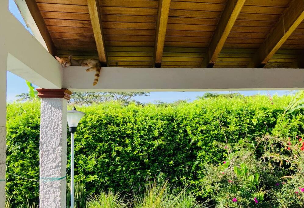 Hacienda Finca La Querendona
