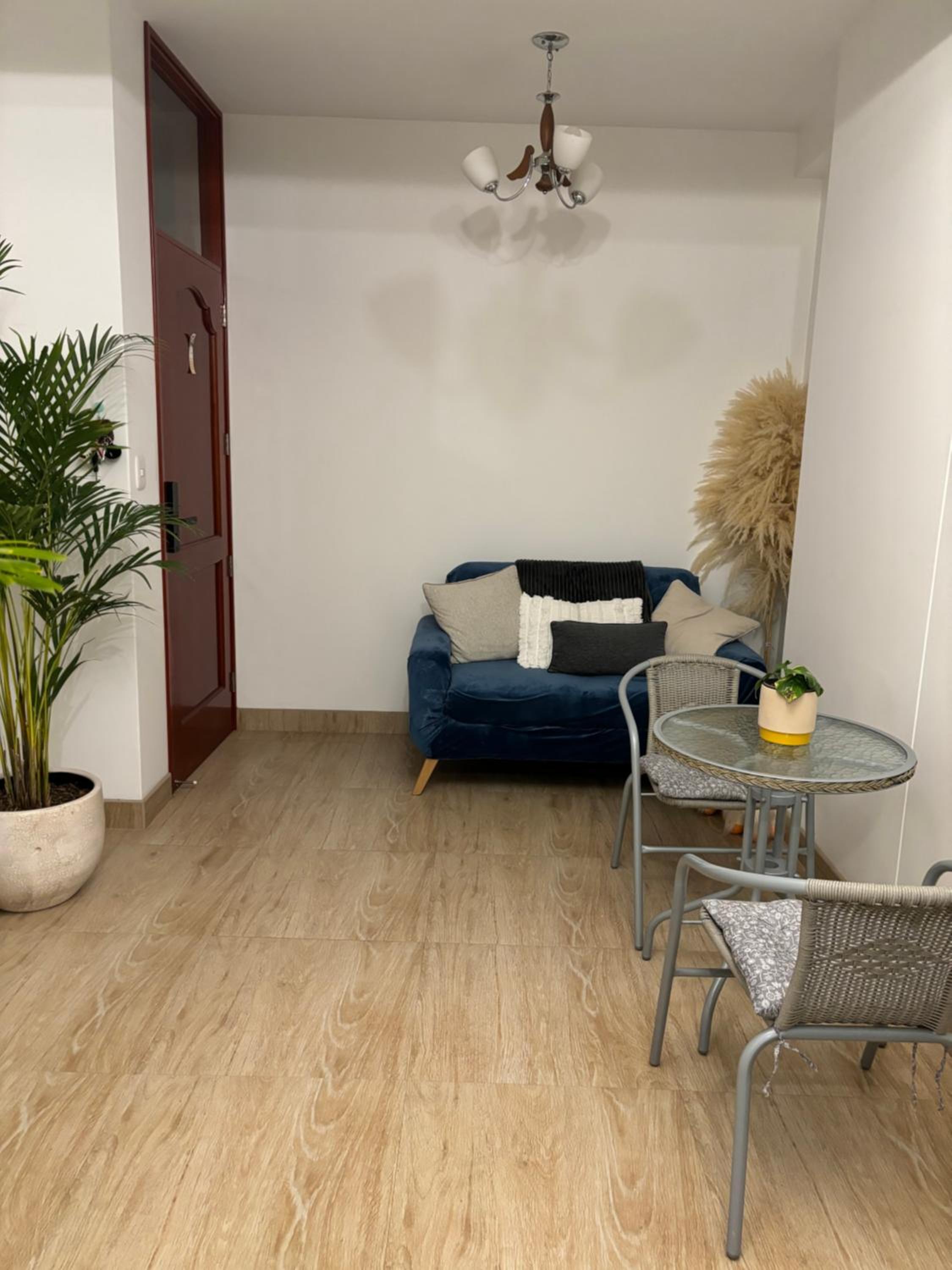 Acogedor full de Plantas view 4