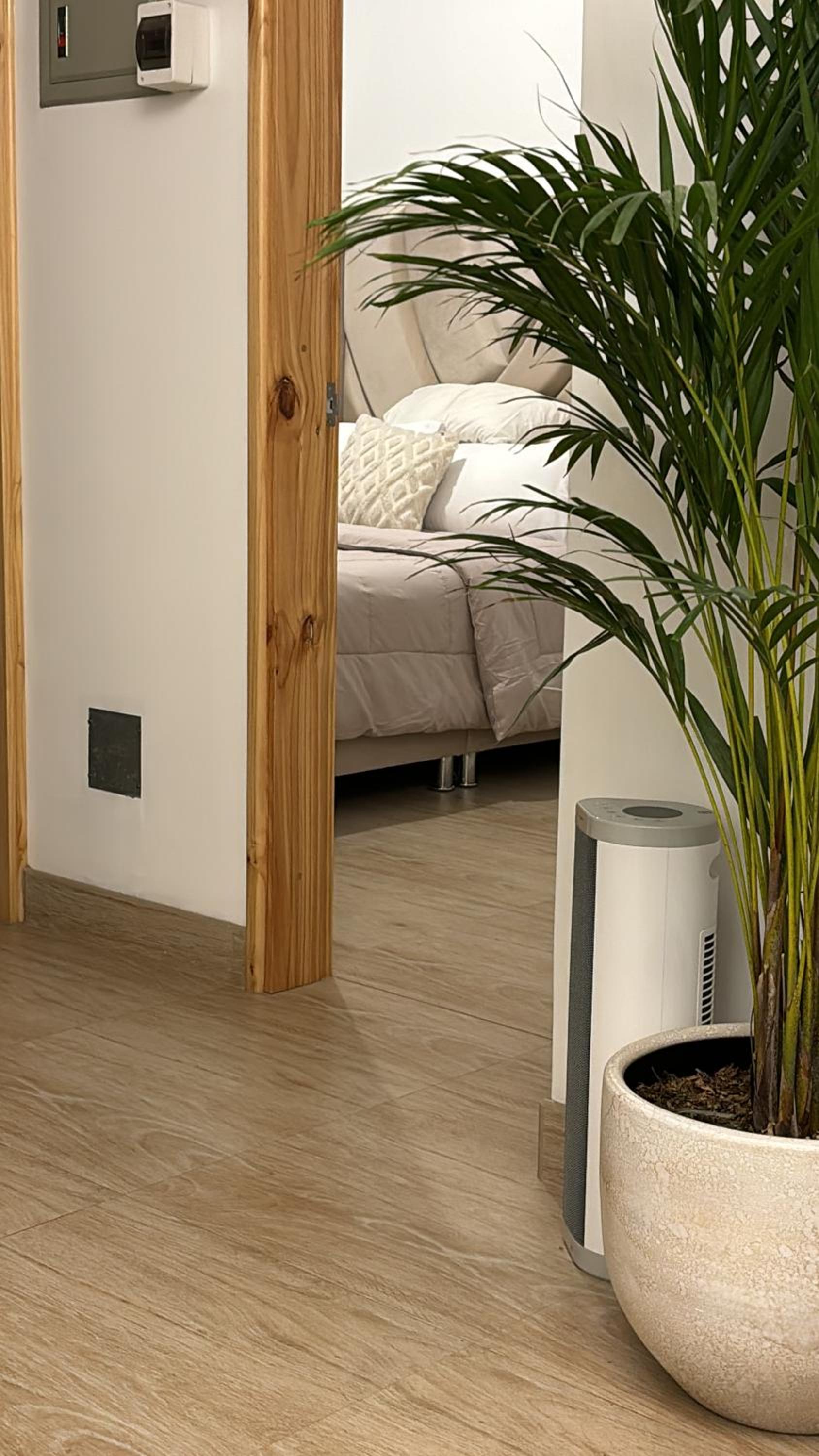 Acogedor full de Plantas view 2