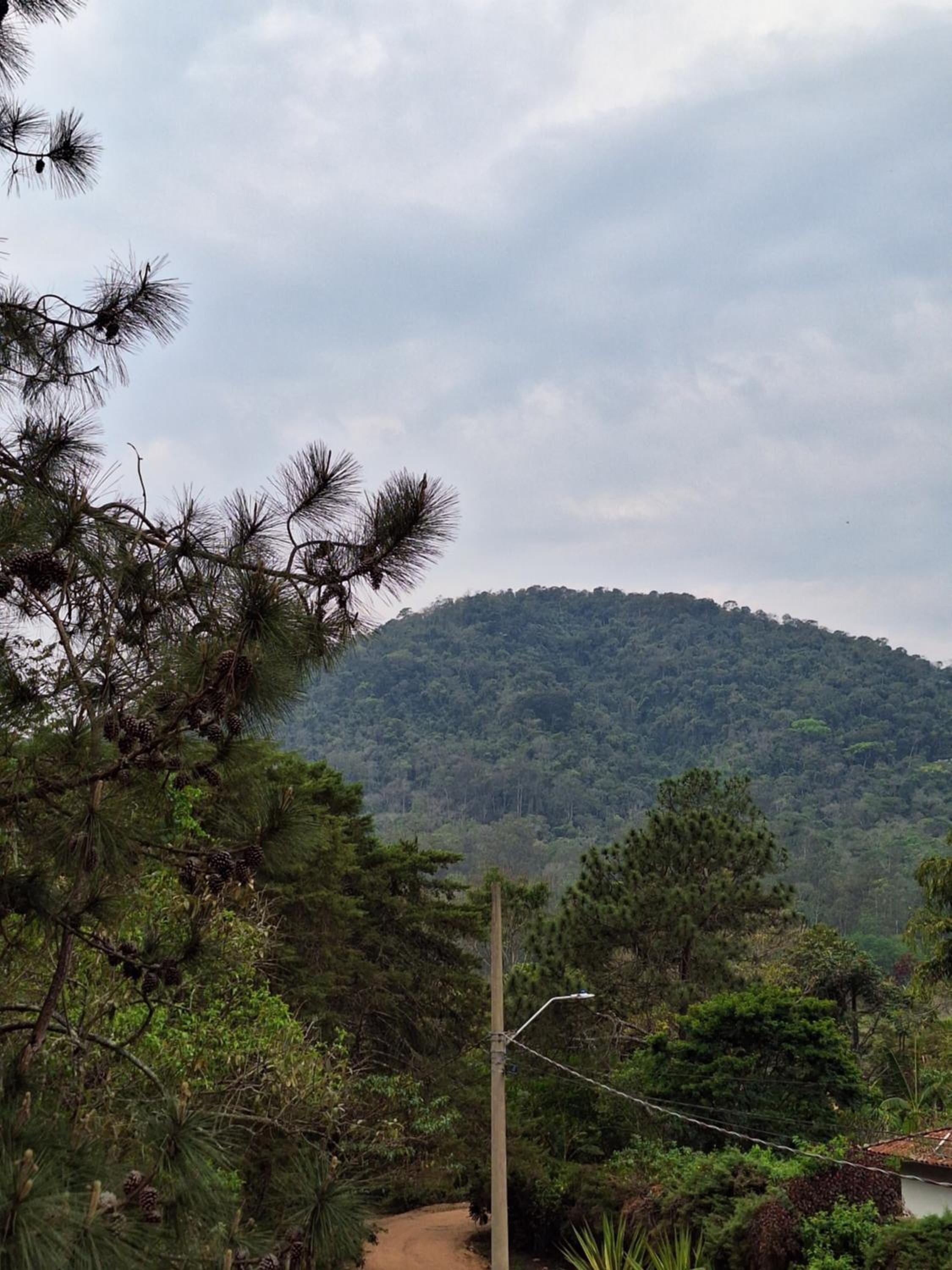 Suite chalé da montanha