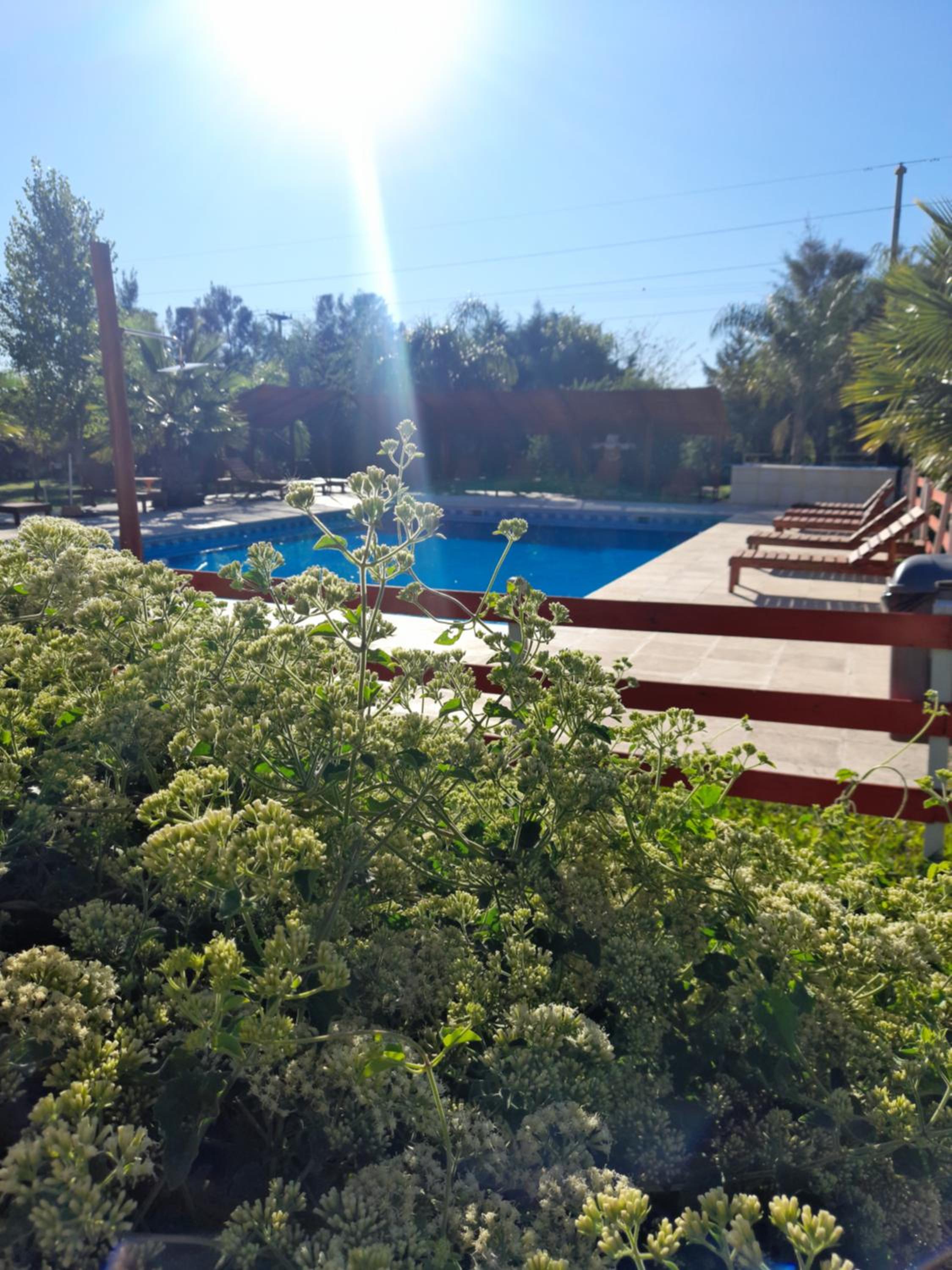 Verde y Sol en la Colonia Bungalows y Cabañas