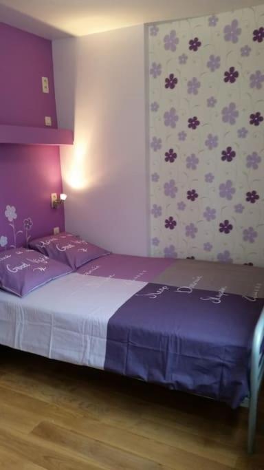 Appartement centre-ville - gîte urbain avec jardin