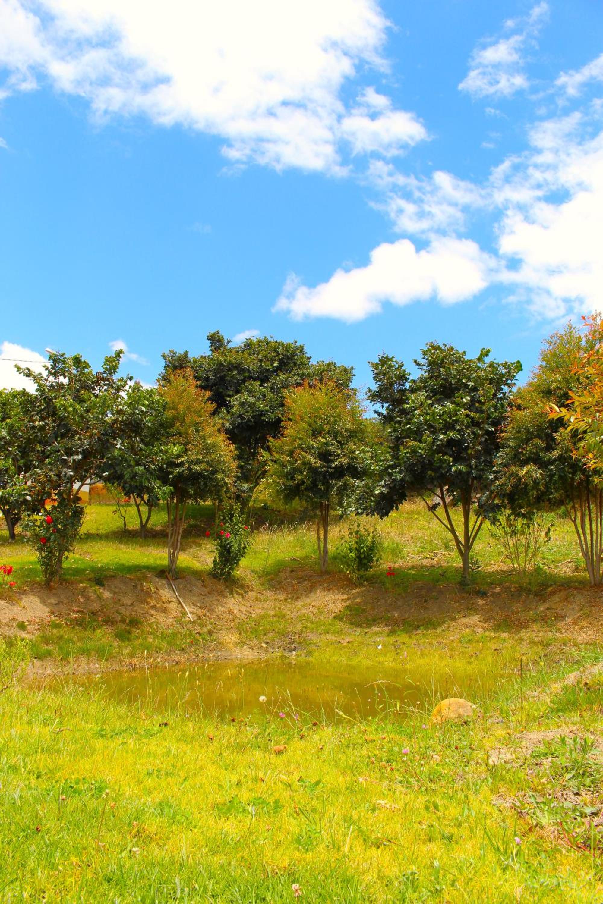 Cabaña La Estancia - Hospedería Rural