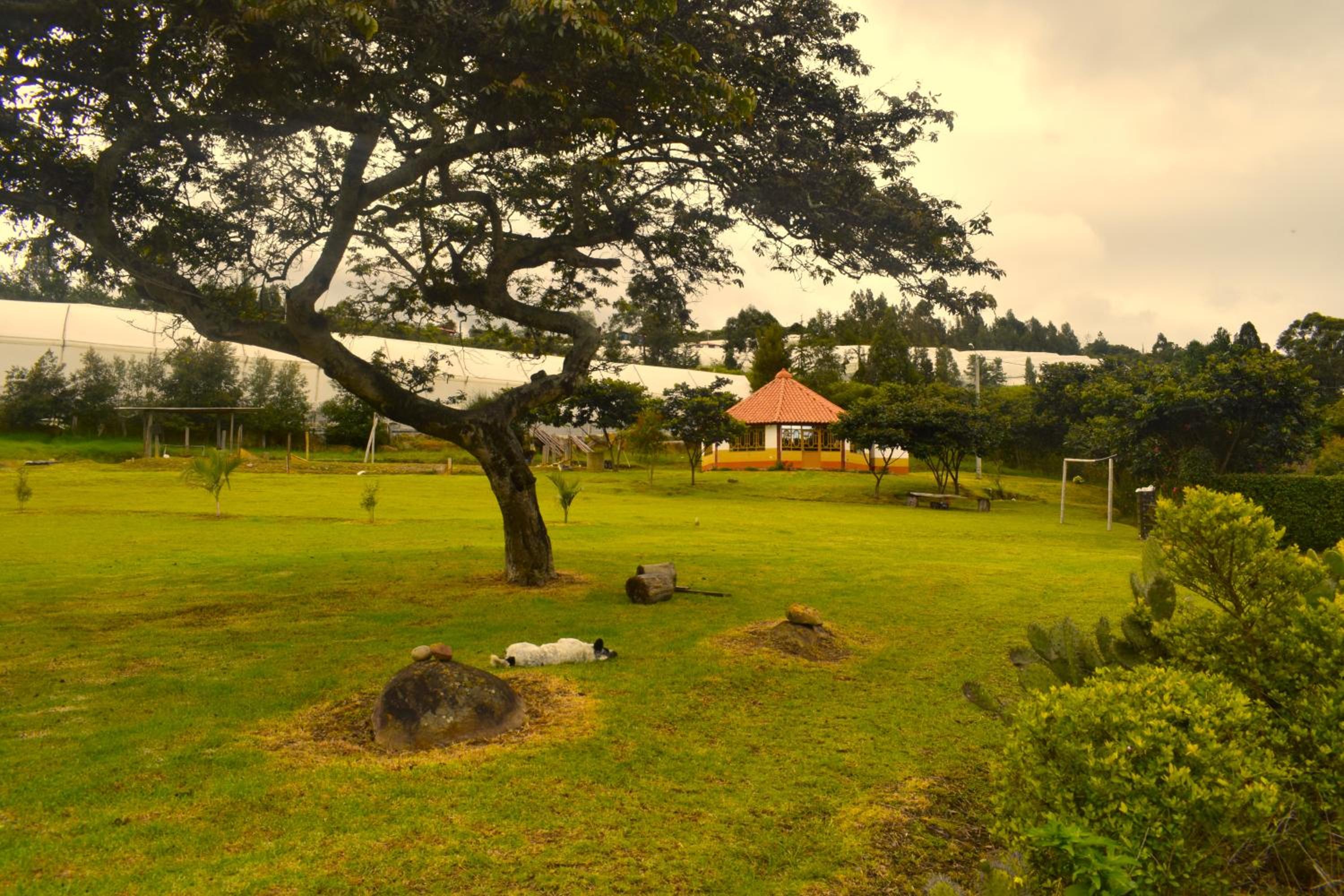 Cabaña La Estancia - Hospedería Rural