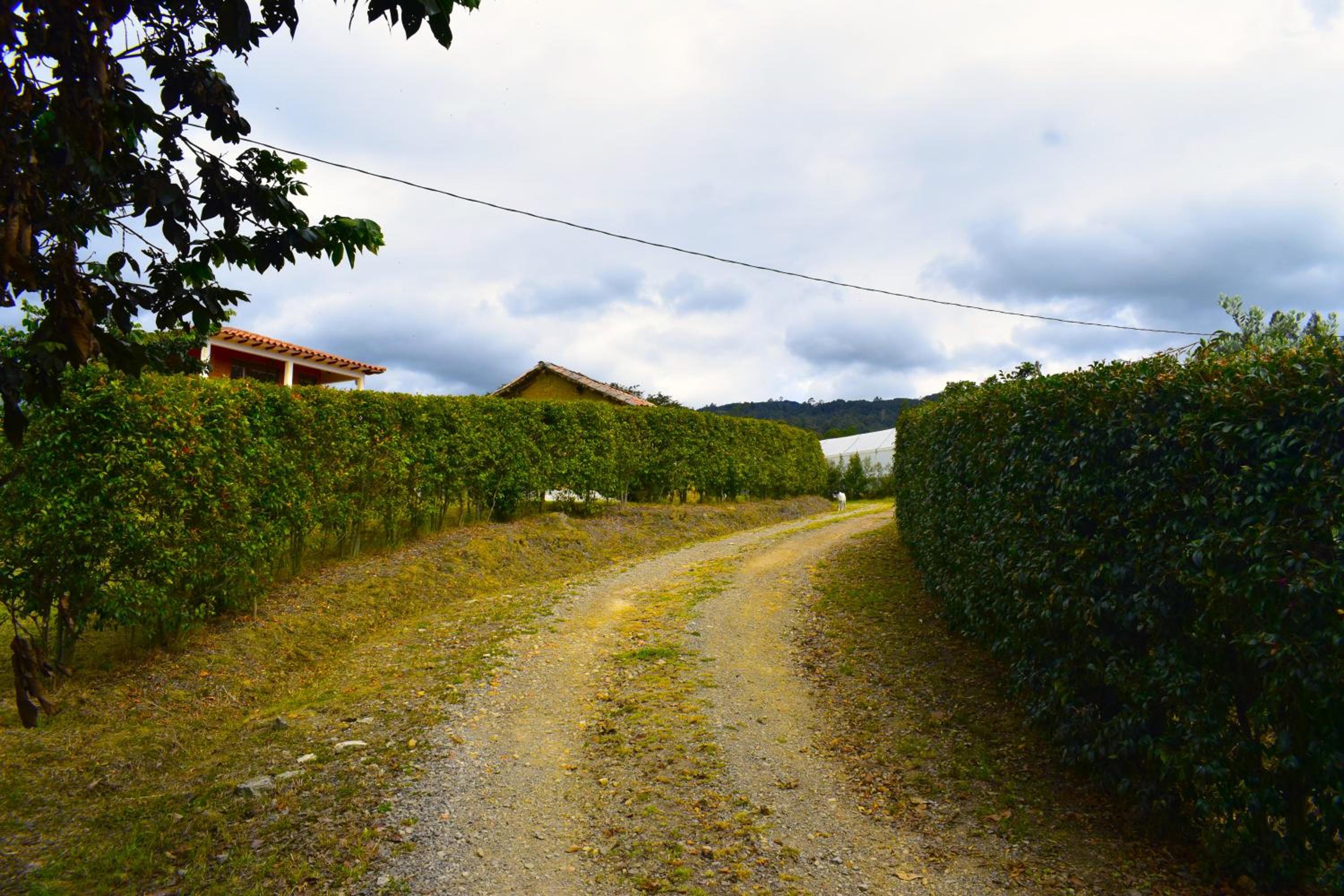 Cabaña La Estancia - Hospedería Rural