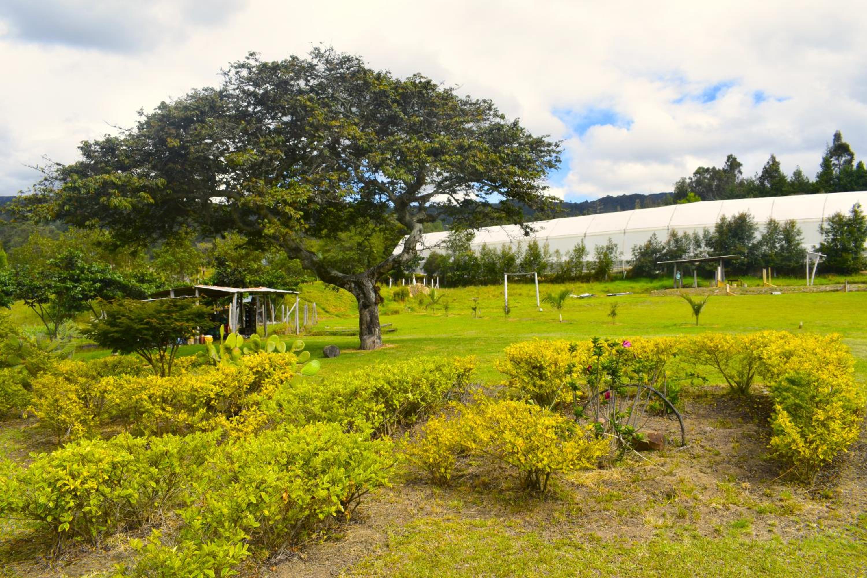 Cabaña La Estancia - Hospedería Rural
