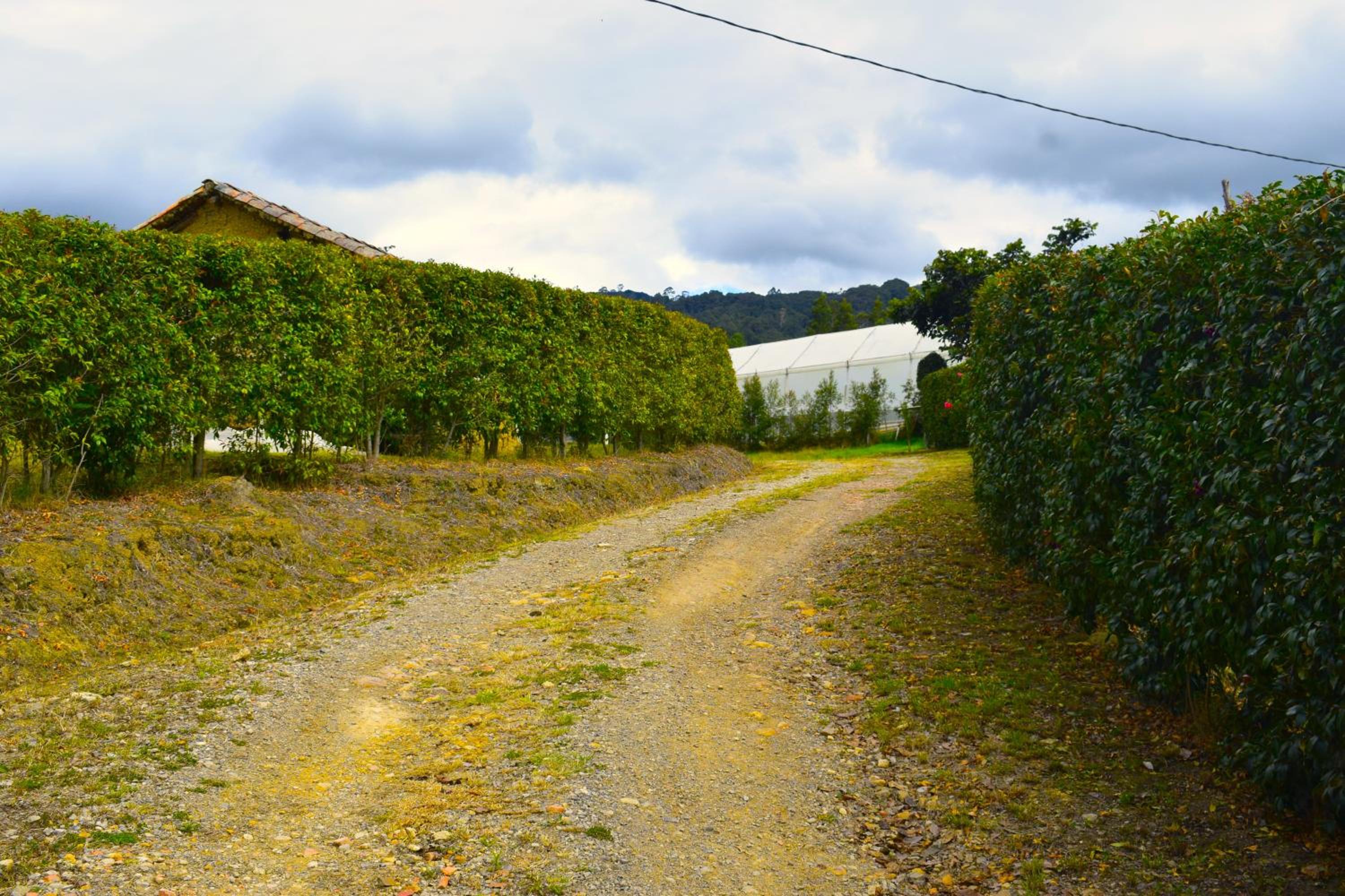 Cabaña La Estancia - Hospedería Rural