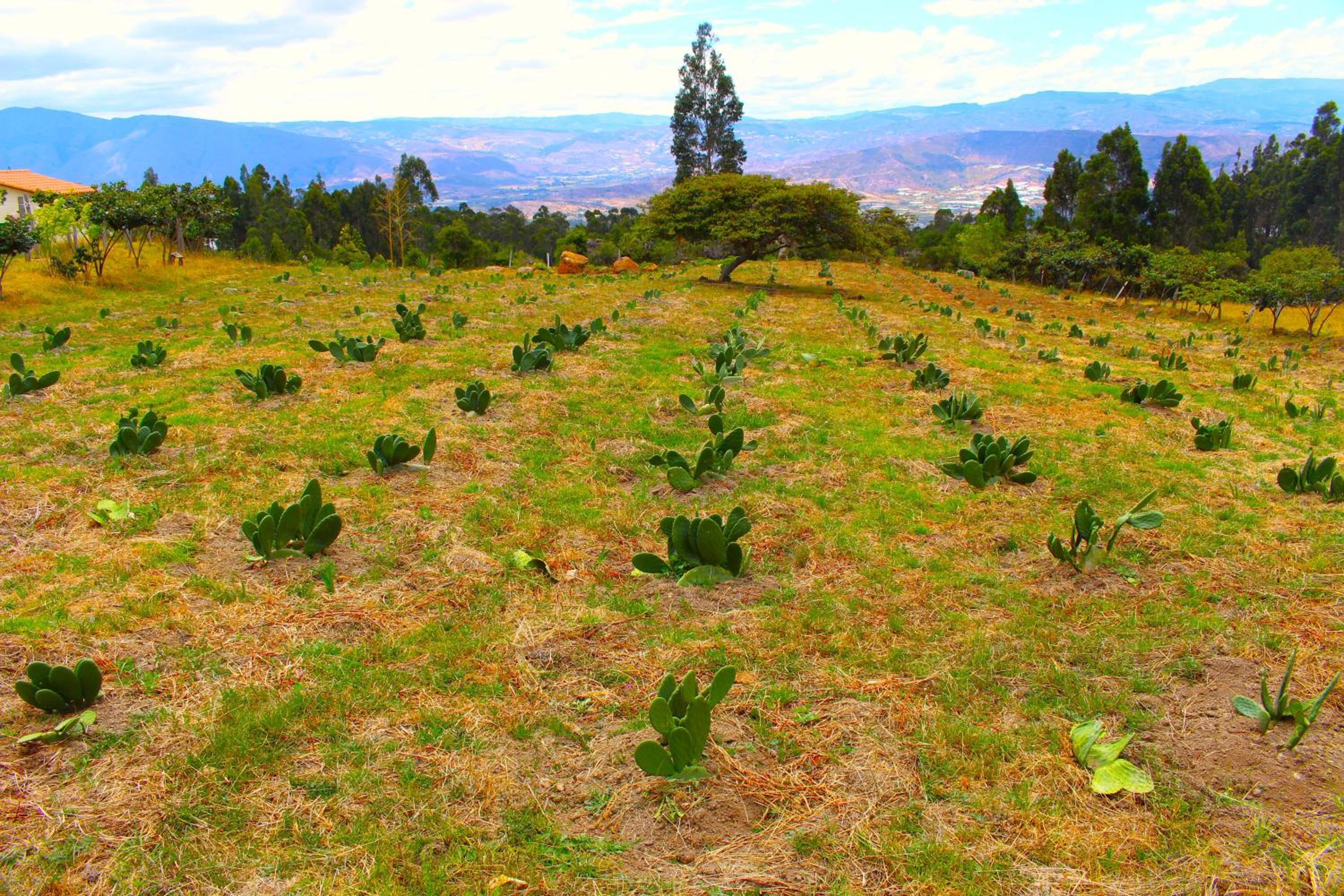 Cabaña La Estancia - Hospedería Rural