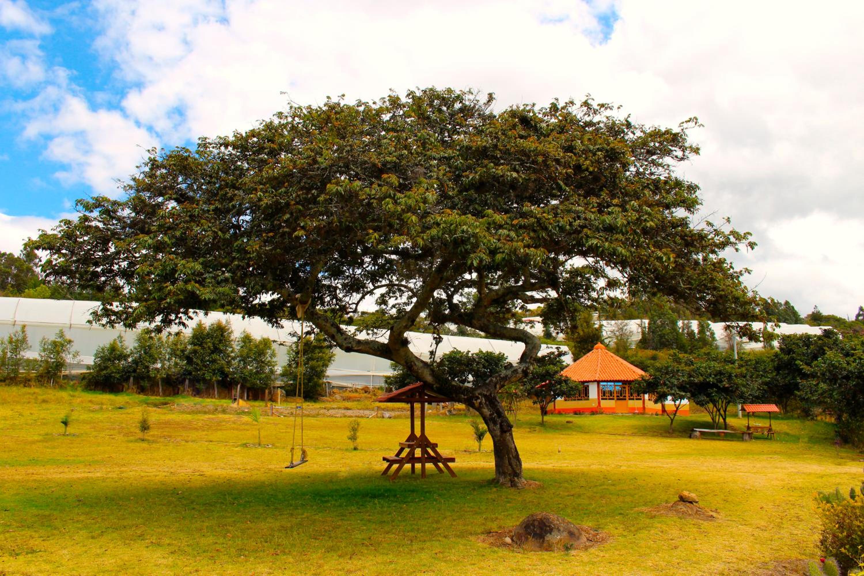 Cabaña La Estancia - Hospedería Rural