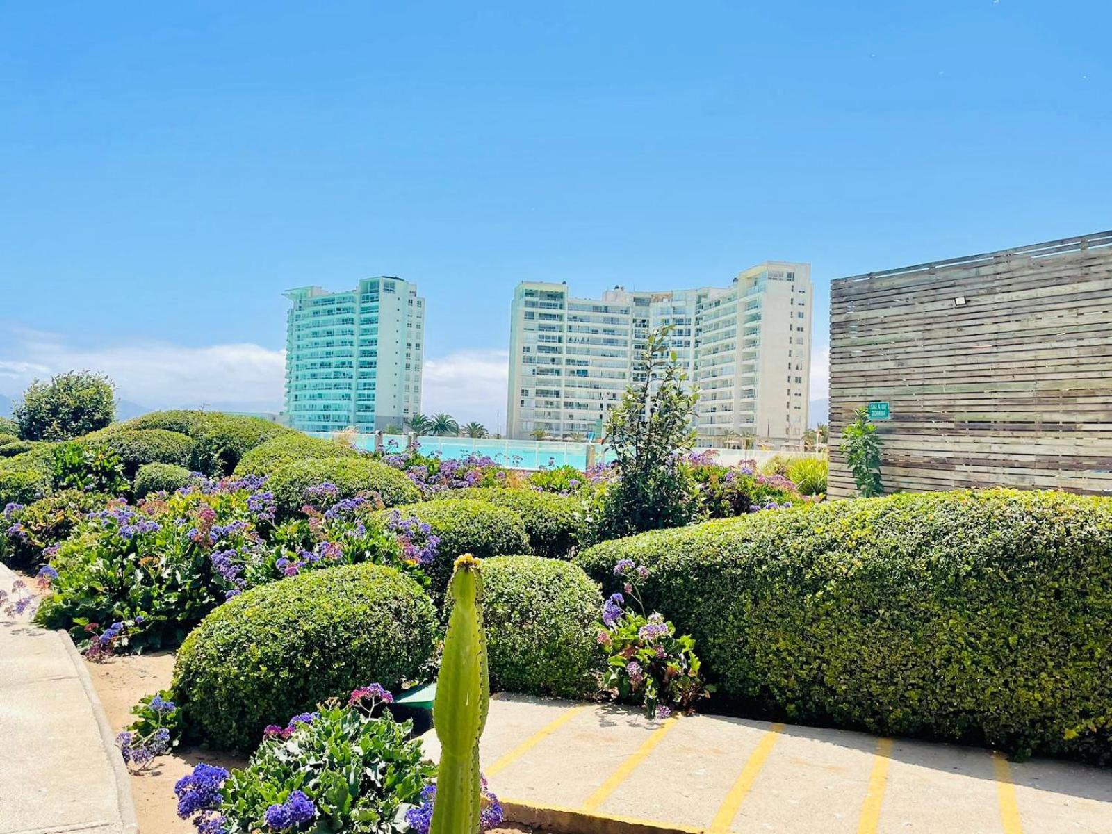 Hermoso departamento en La Serena