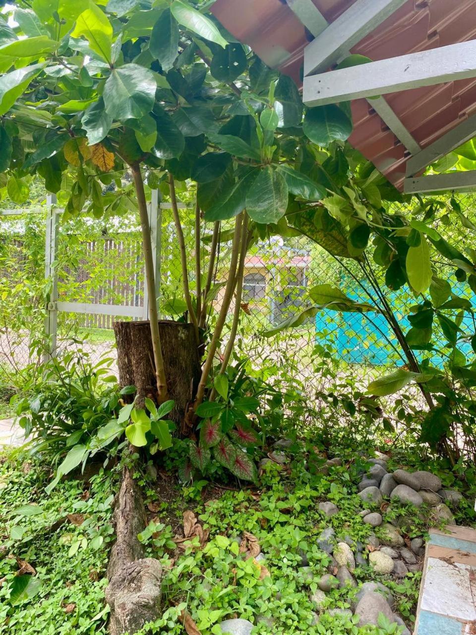 Bella casa rústica en Cocles, Puerto Viejo, Limón