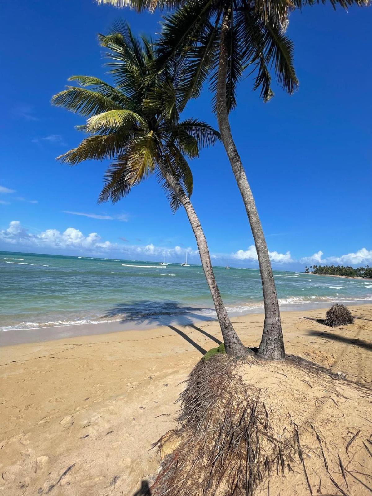 Beautiful Villa for 6, 2 steps away from Punta Popy Beach view 4