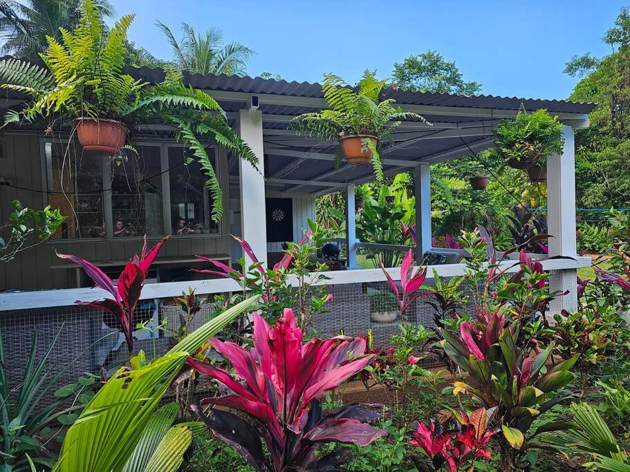 Alena Star House, Eco Retreat With Pool, Prime Position