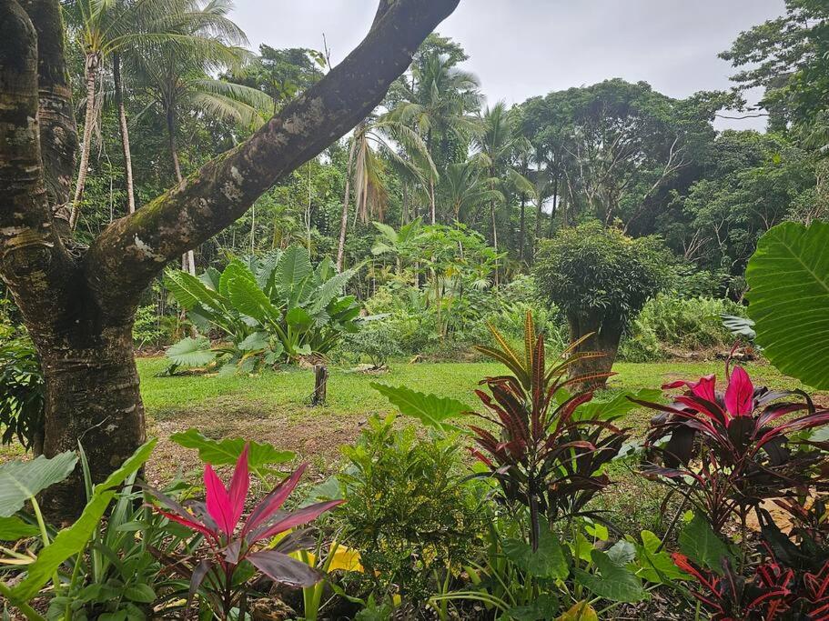 Alena Star House, Eco Retreat With Pool, Prime Position