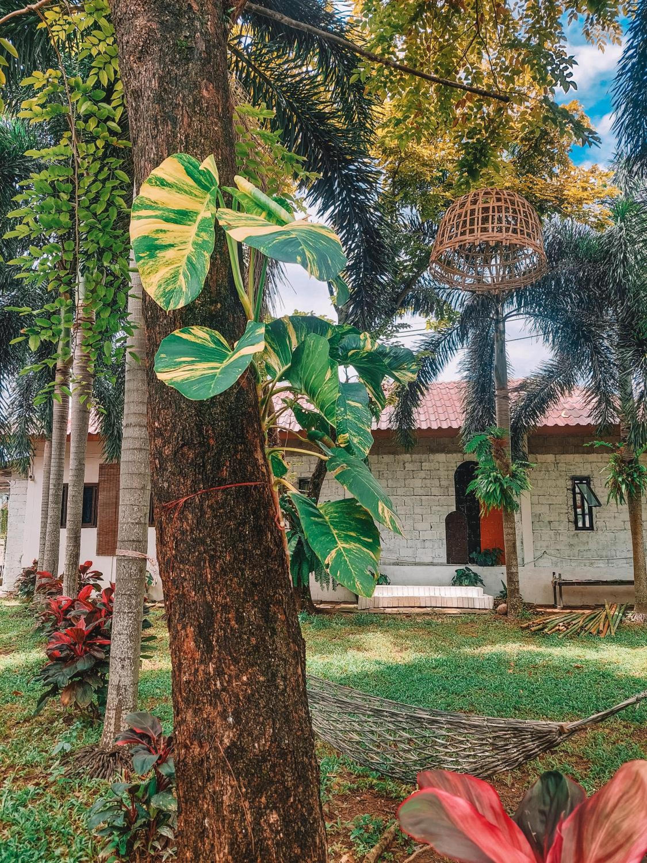 Naraya Resort