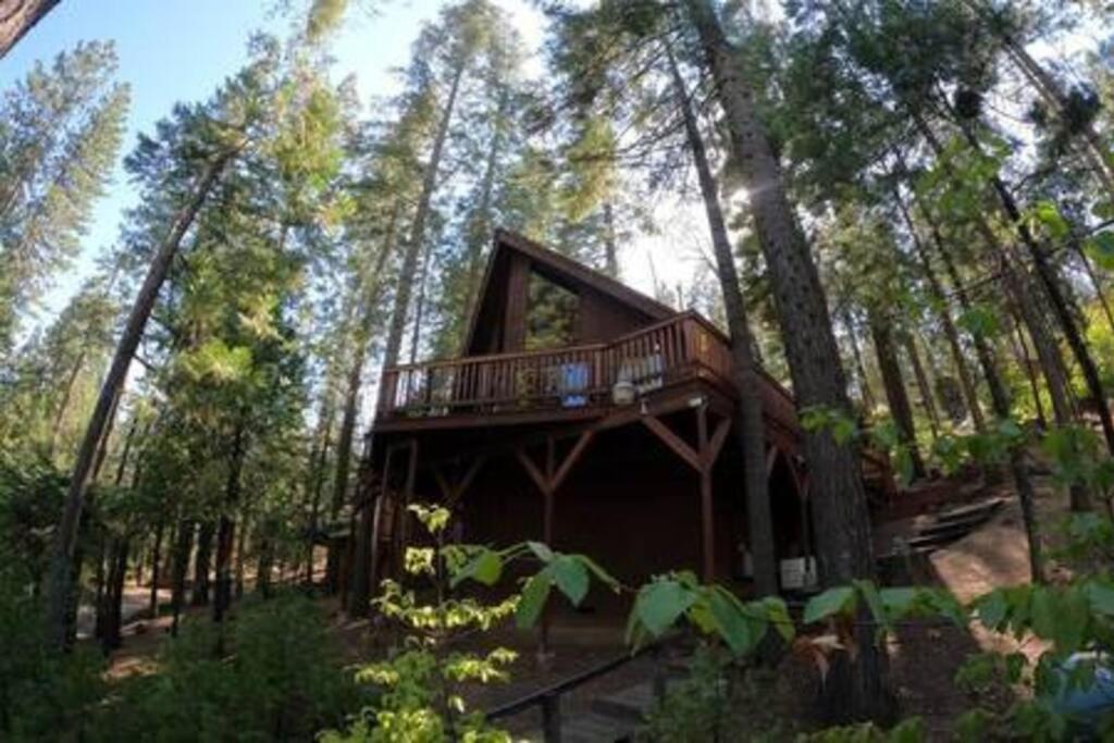 Pinecrest A-Frame Family fun near Dodge Ridge