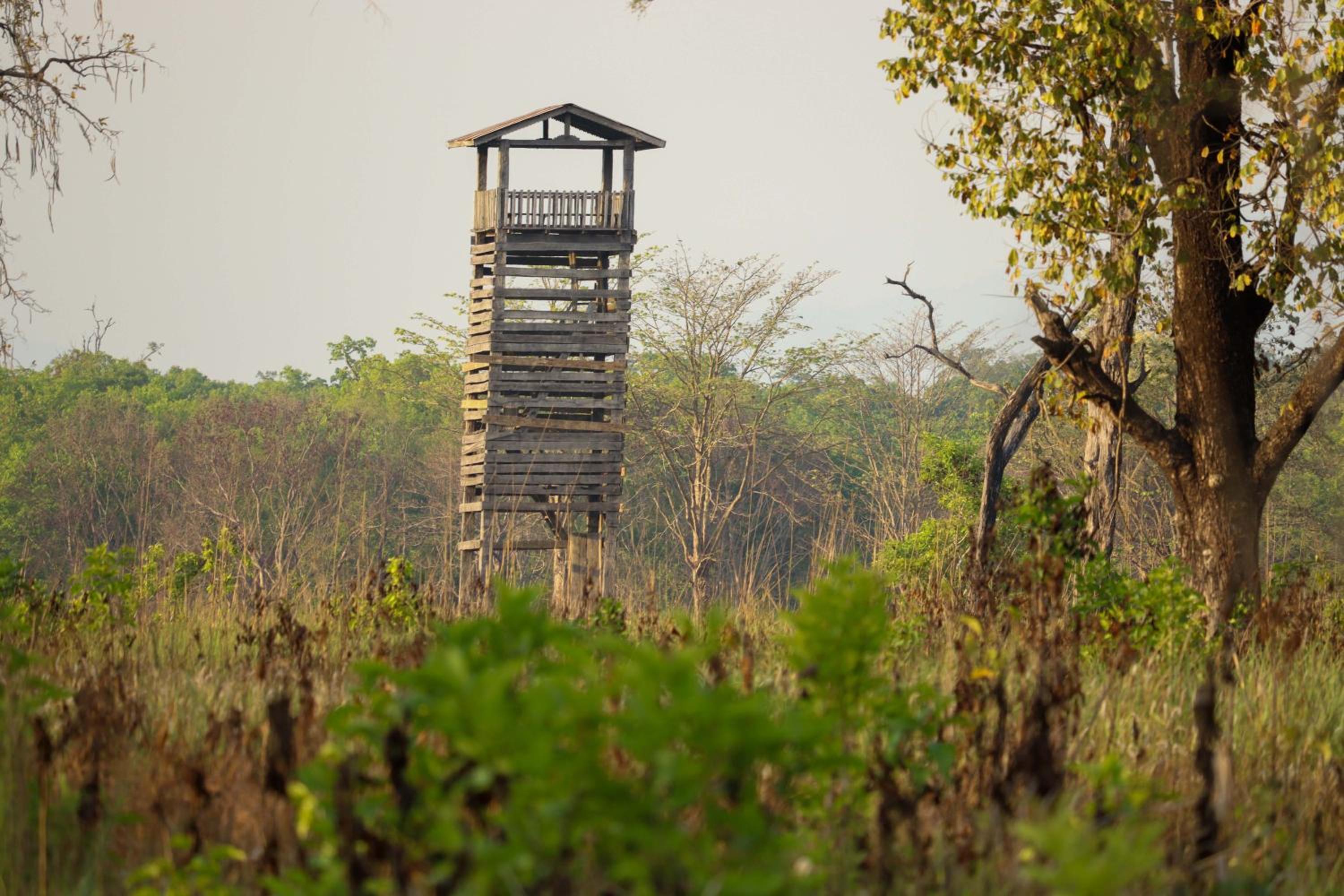 Forest Hideaway Resort Pvt Ltd