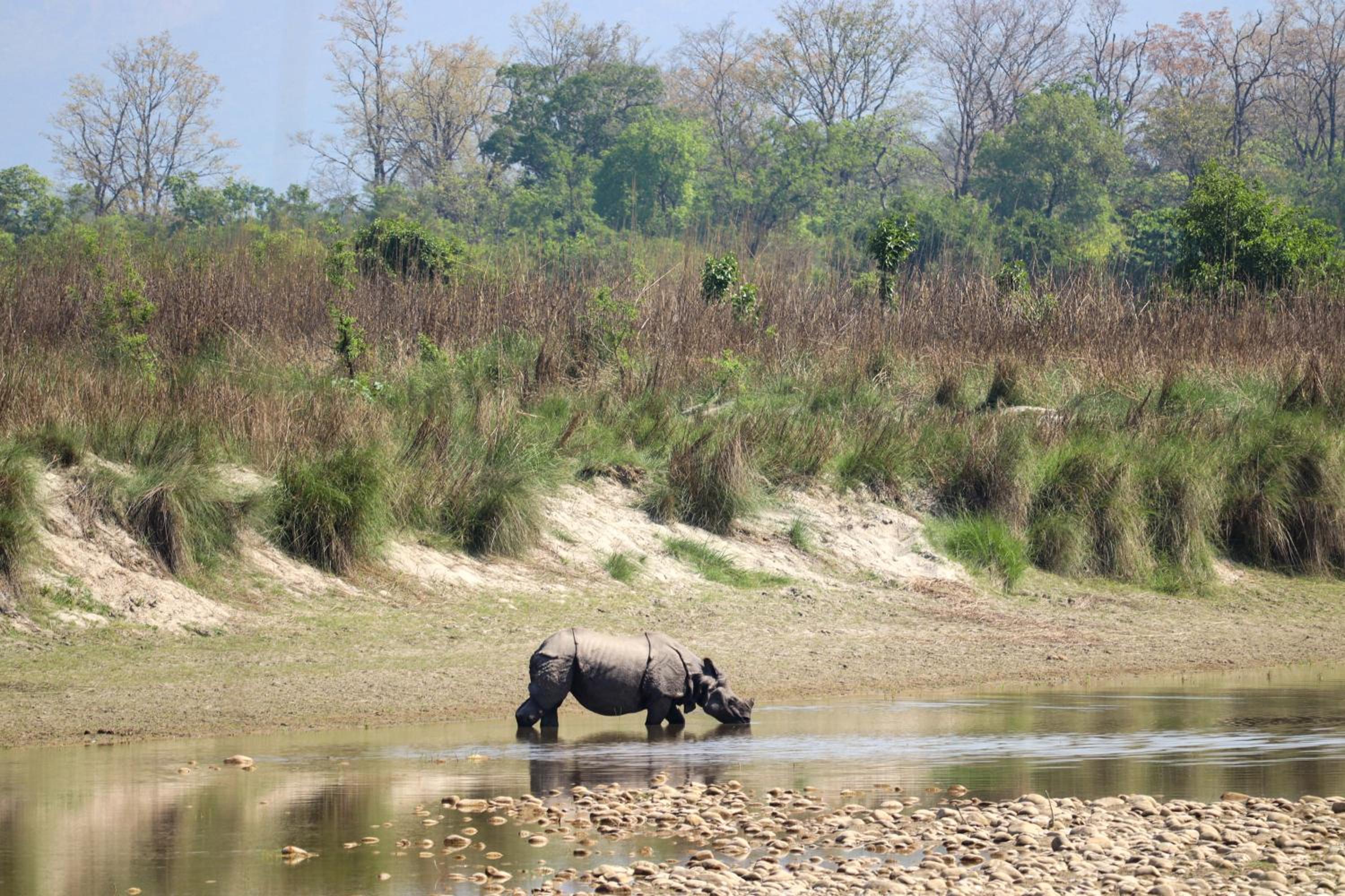 Forest Hideaway Resort Pvt Ltd