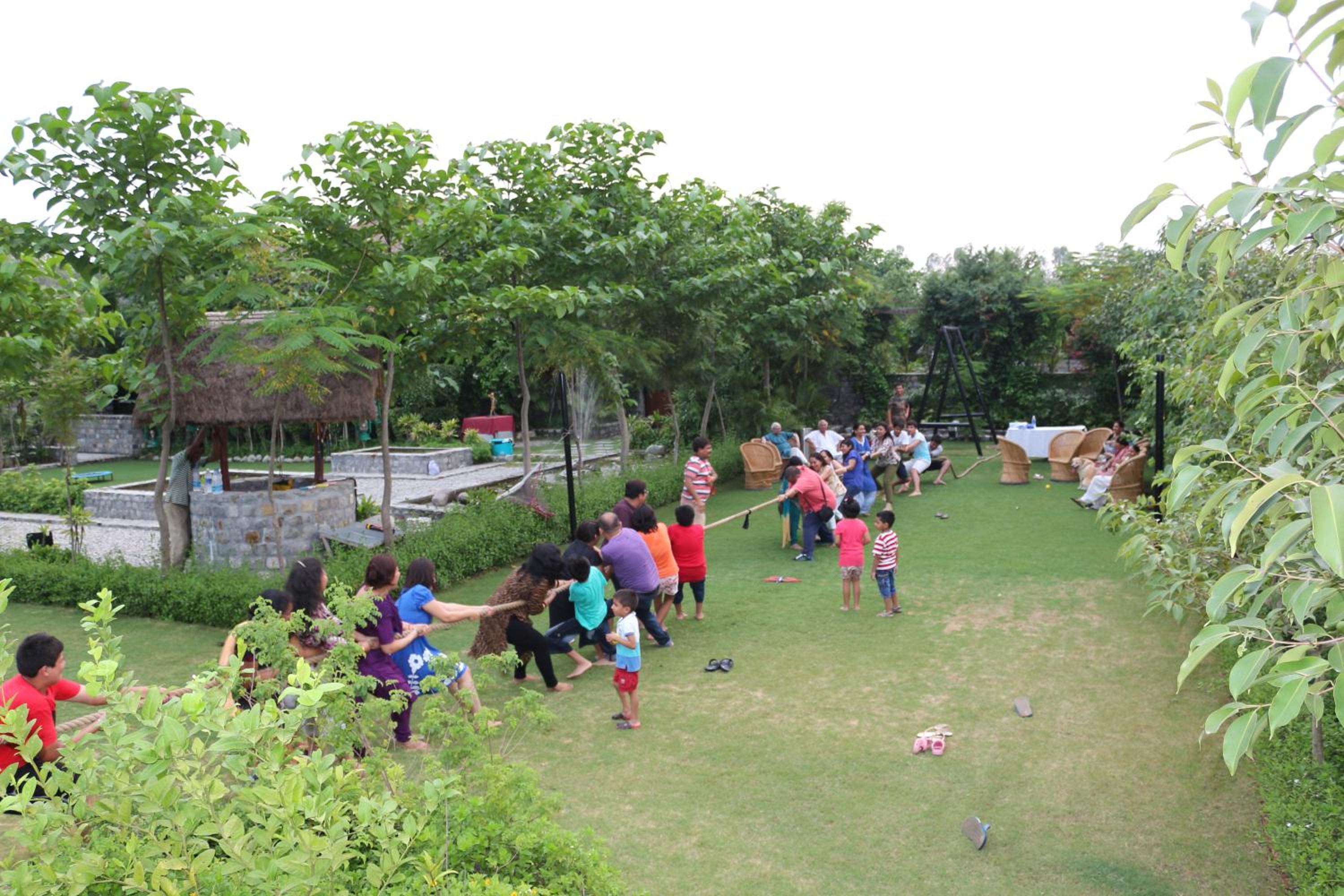 Photo 48