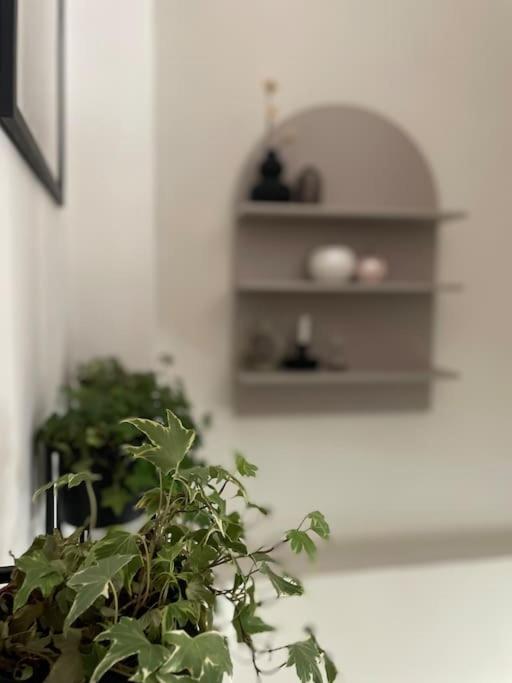 Mary's downtown house photo 2