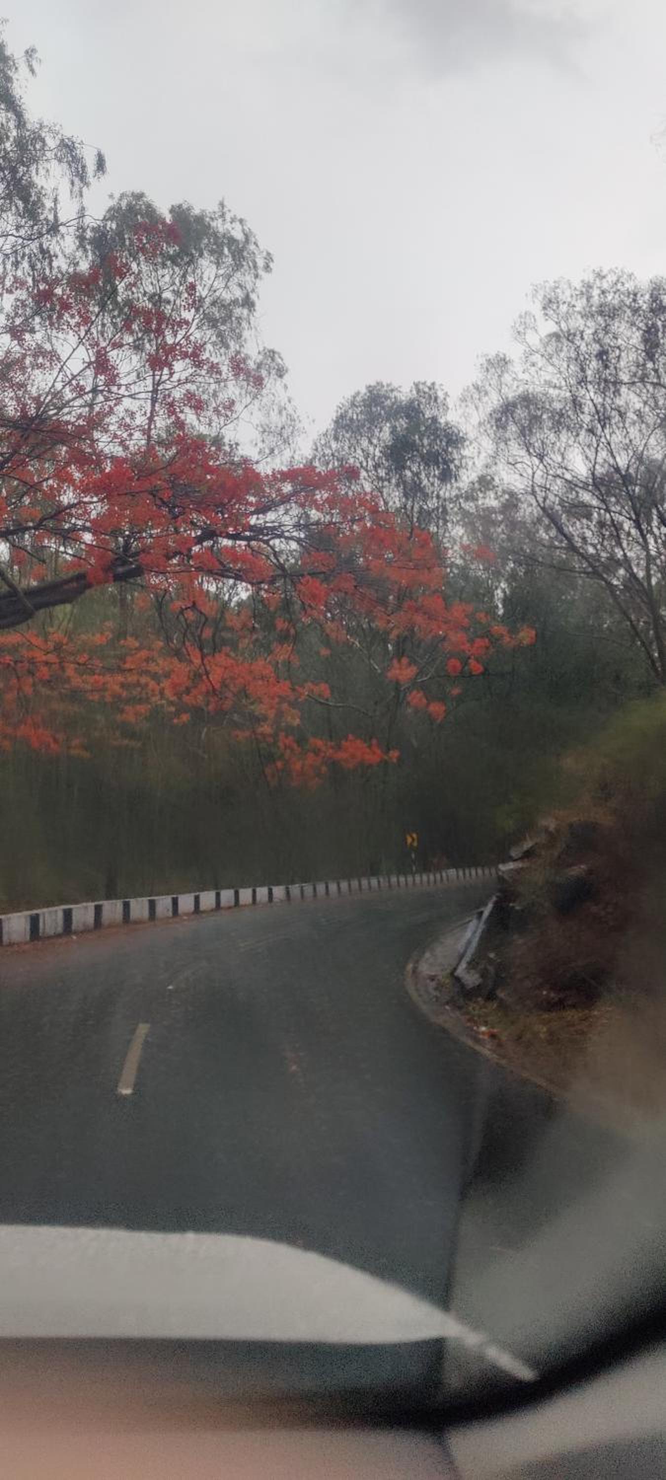 yelagiri residency
