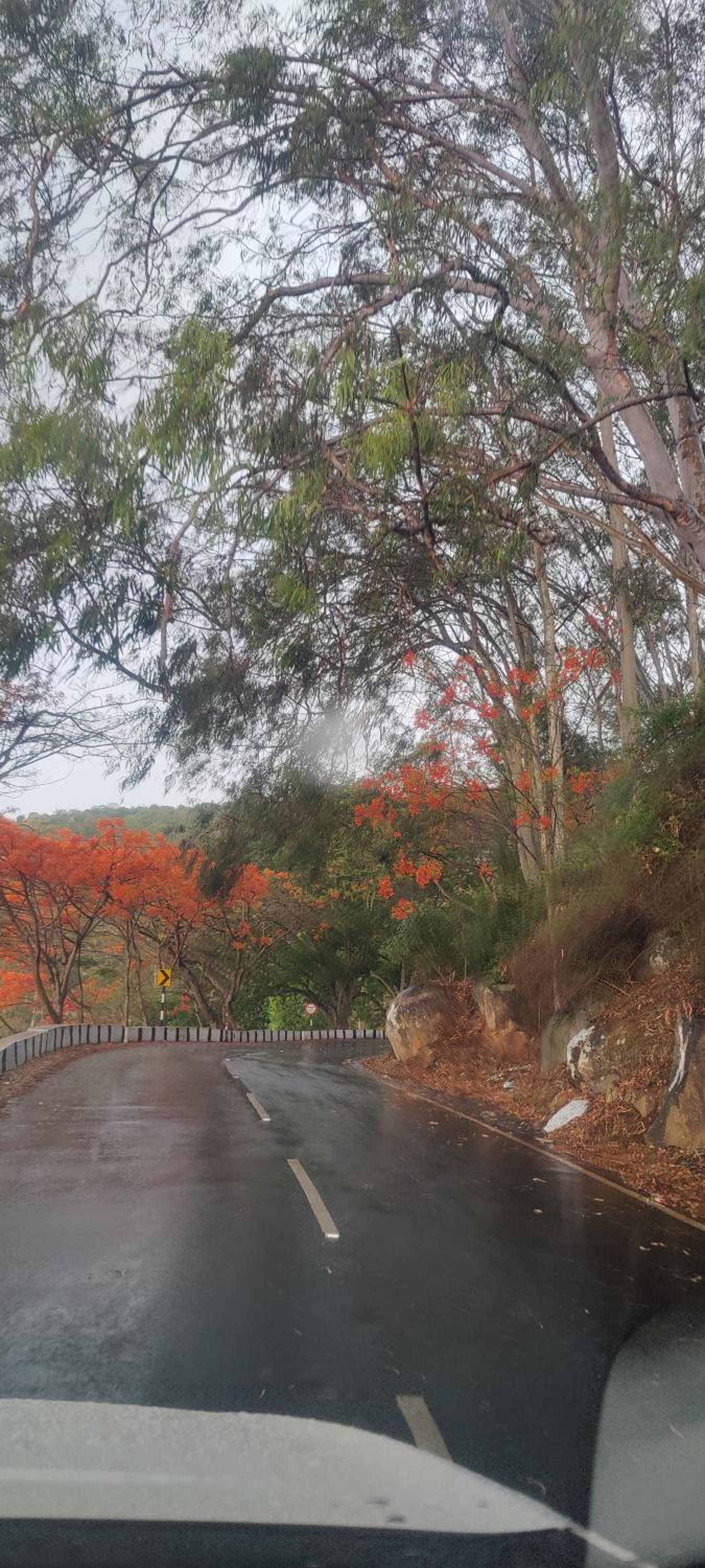 yelagiri residency