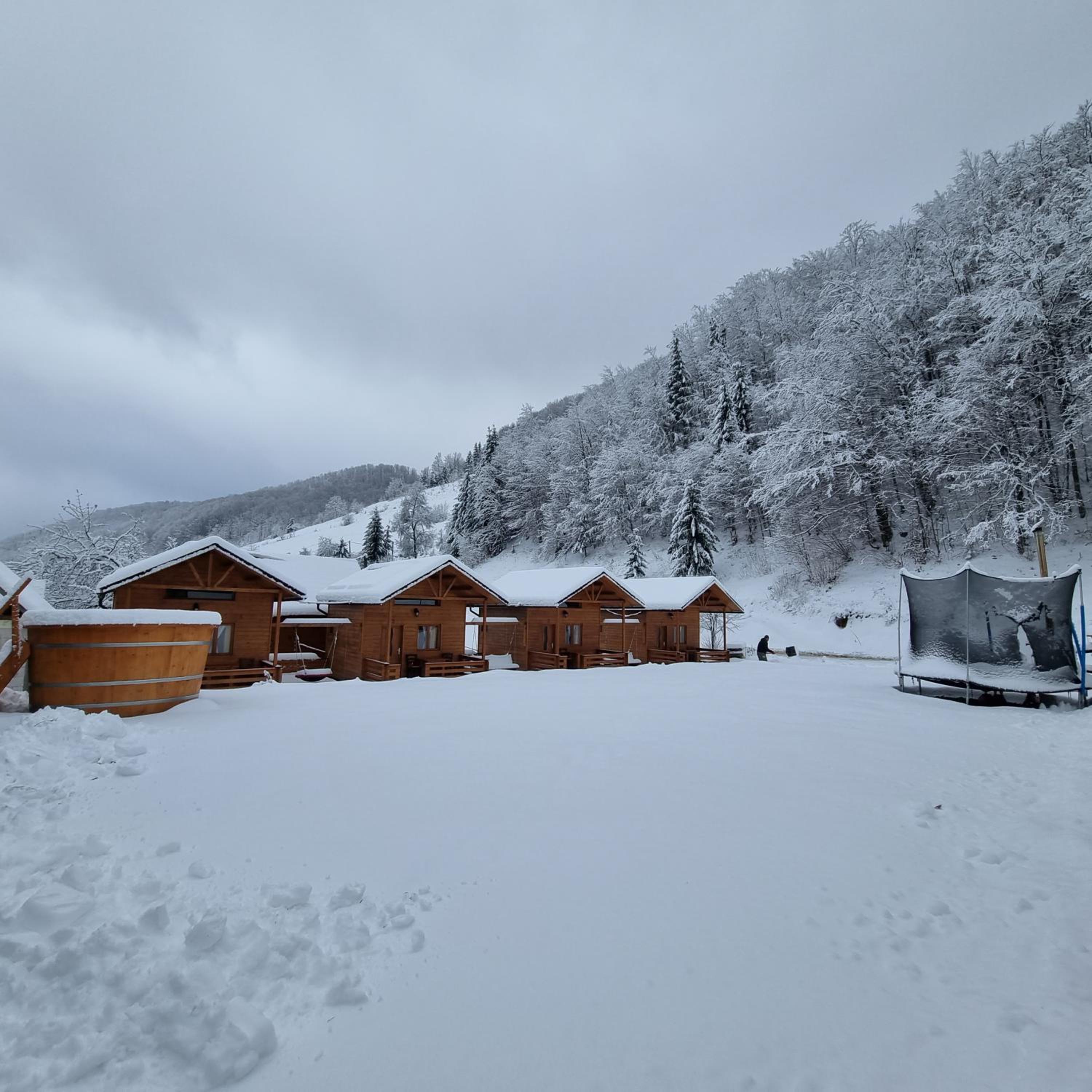 Pensiunea Poienita Motilor view 5