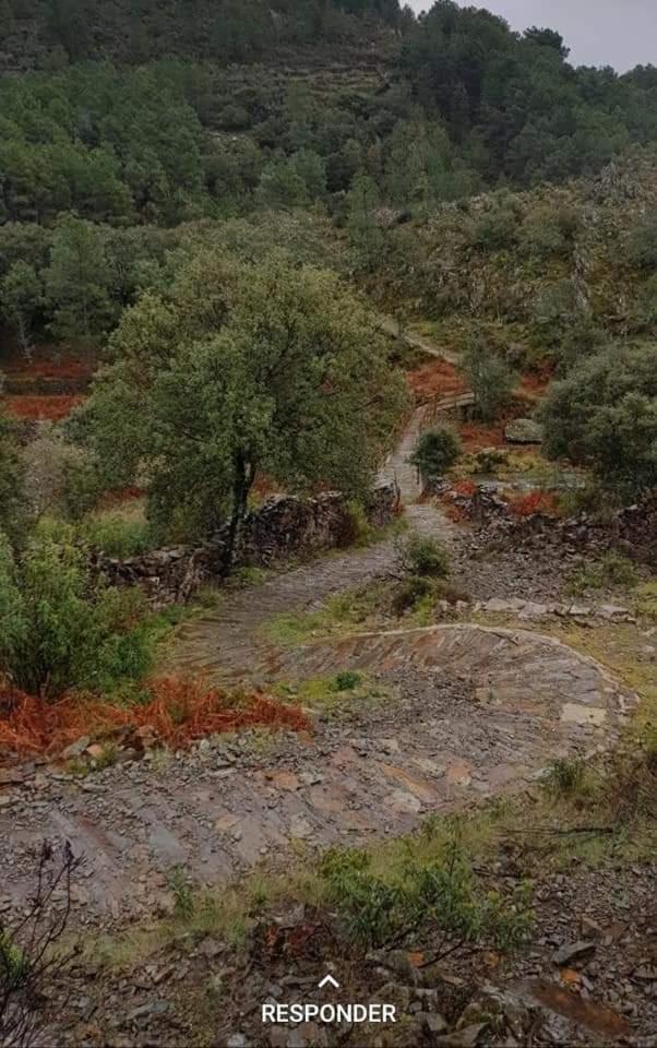 Casa Rural El Chorritero