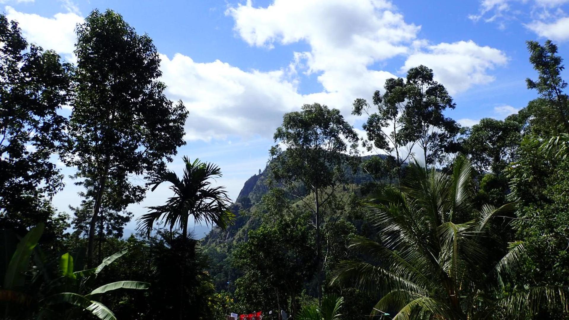 Eco Salient View