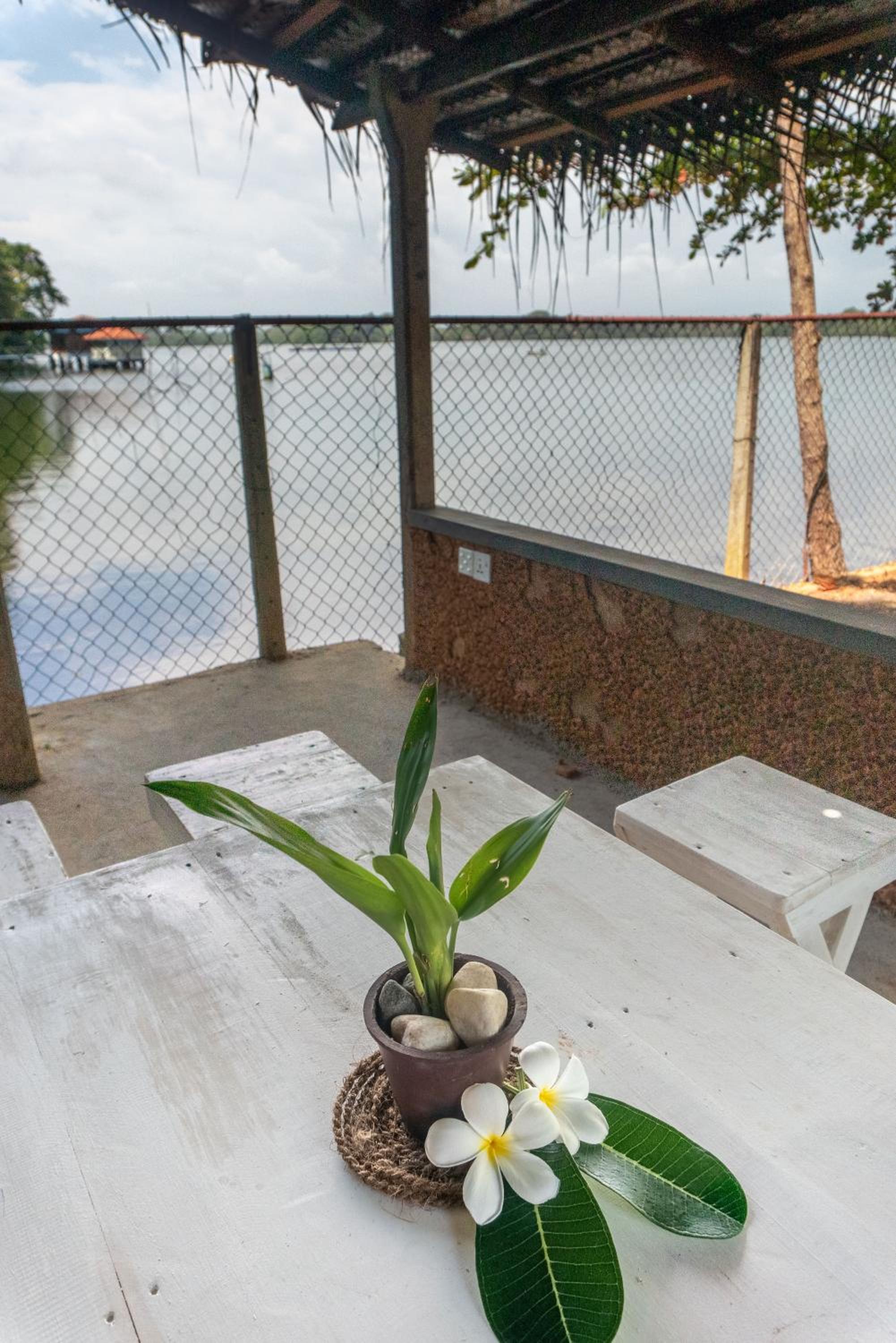 Juula lagoon resort Hikkaduwa view 2