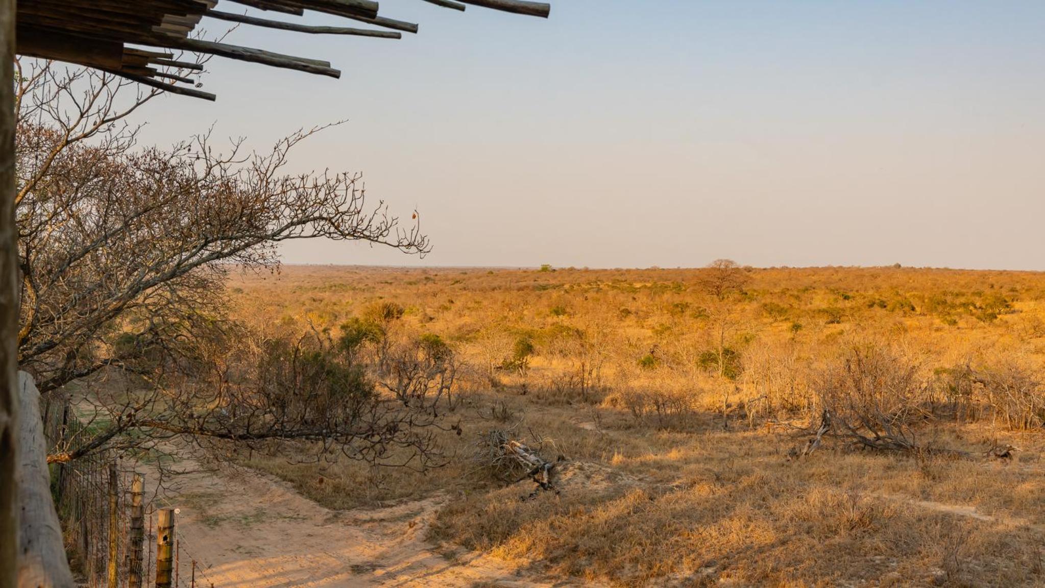 Sunbirds Oasis Lodge