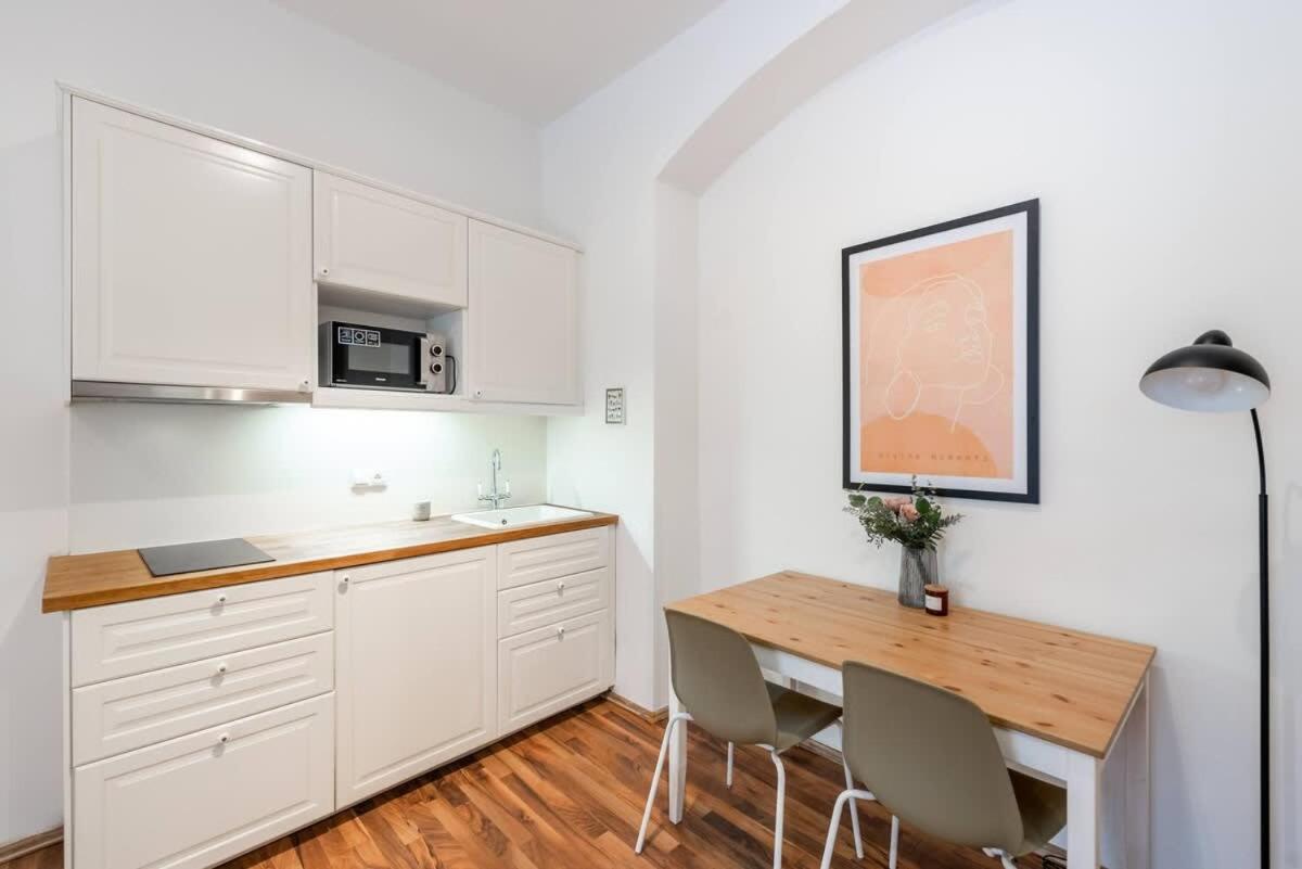 Adorable Cozy Studio in Central Prague