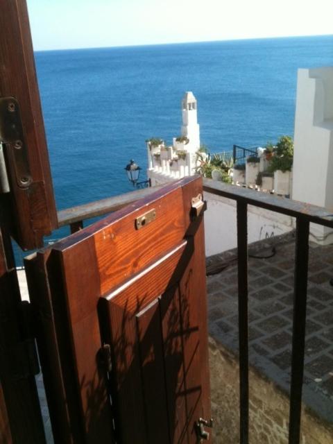 Photo 29