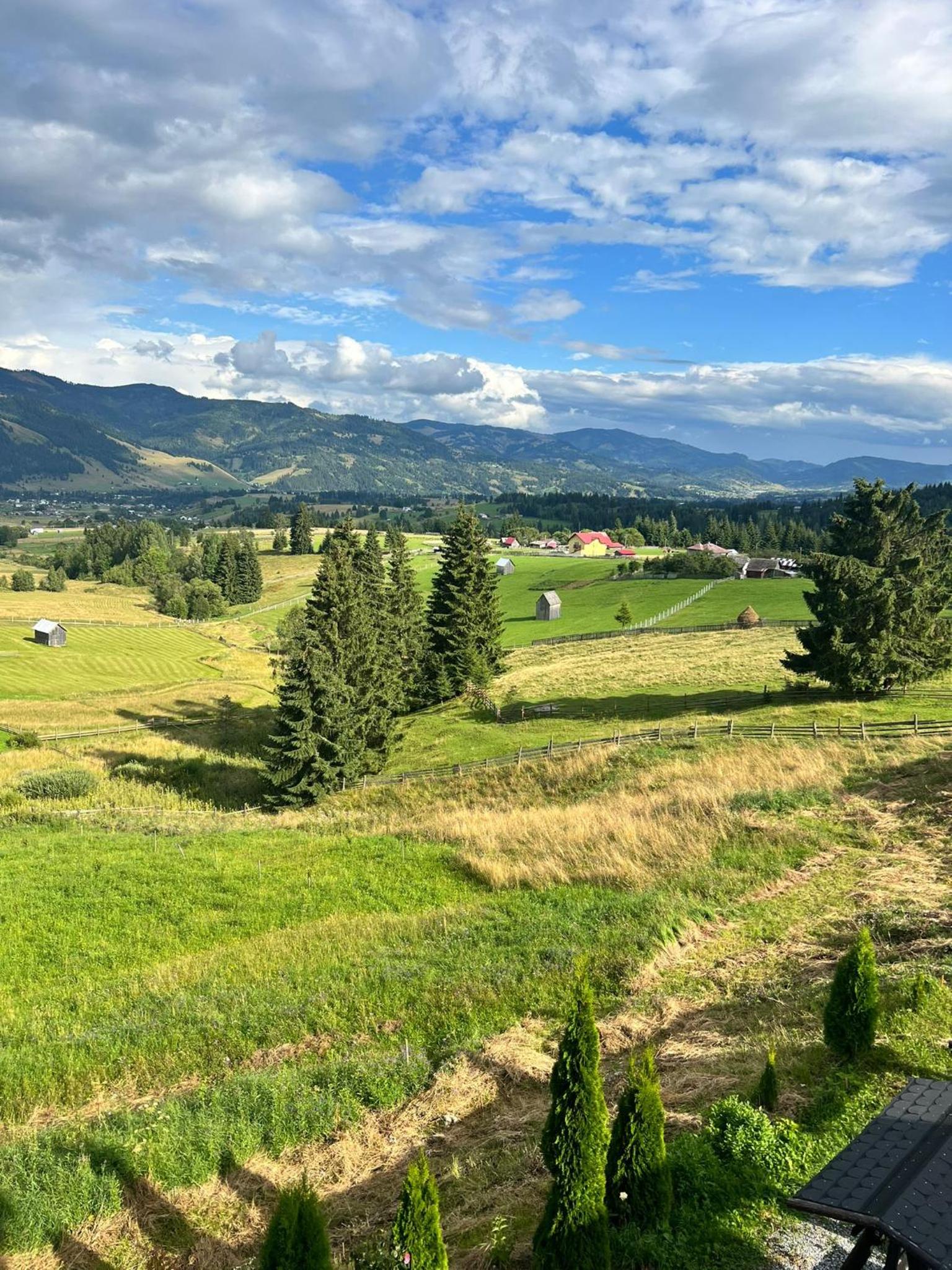 Casa Șaru Bucovinei view 3