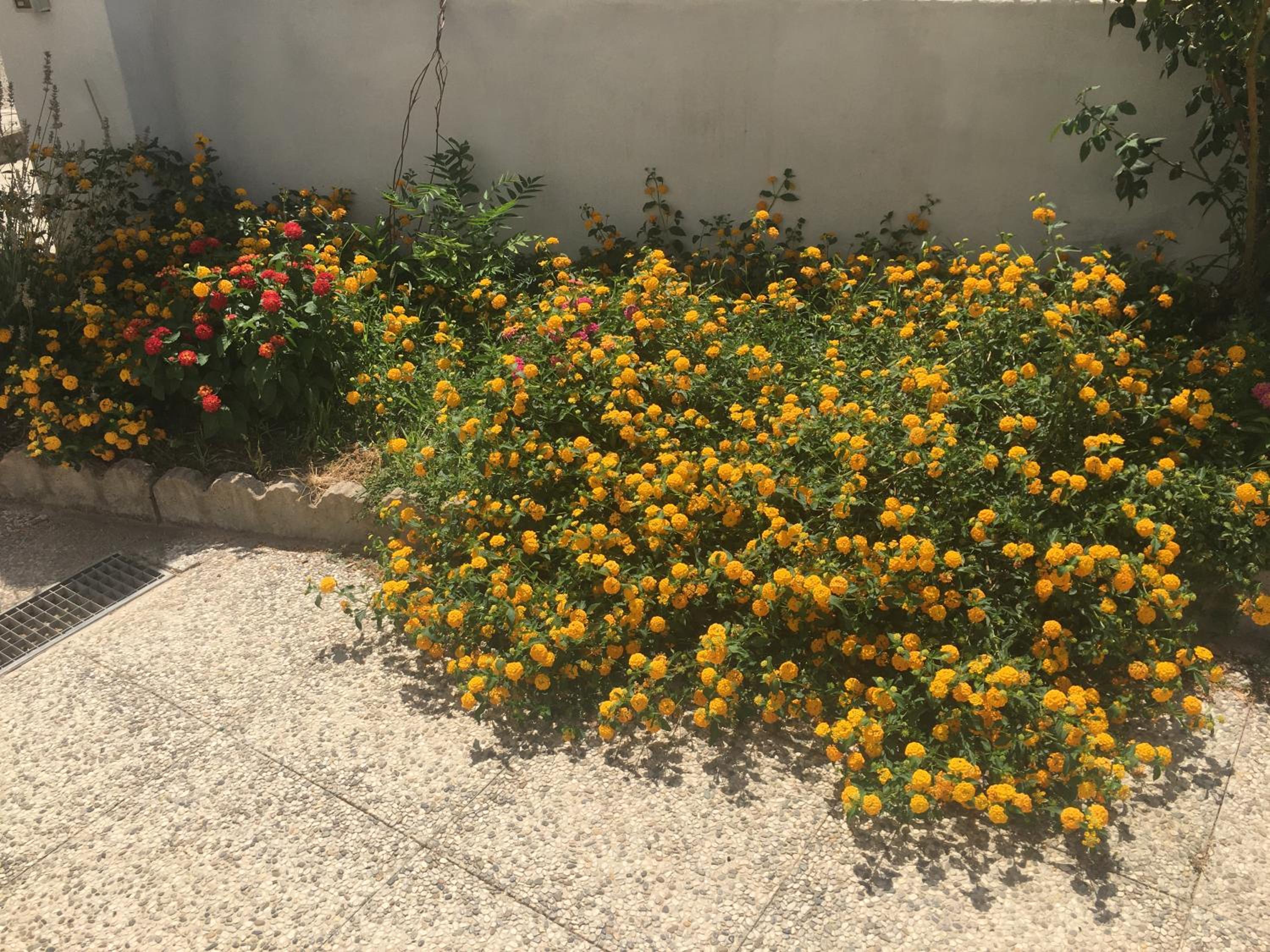A Casa di Zia view 5