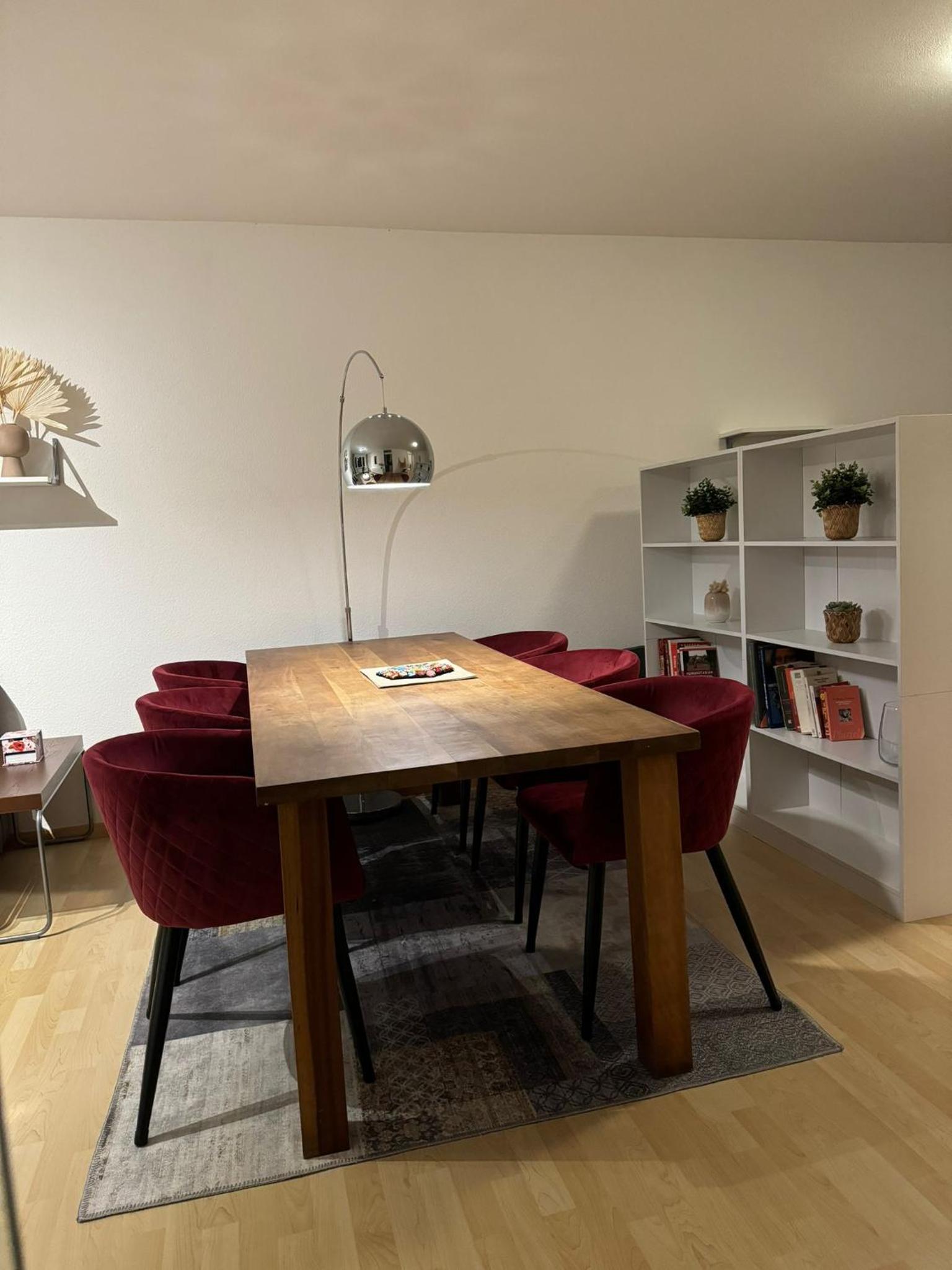 Stylish flat close to Basel with a stunning view view 2