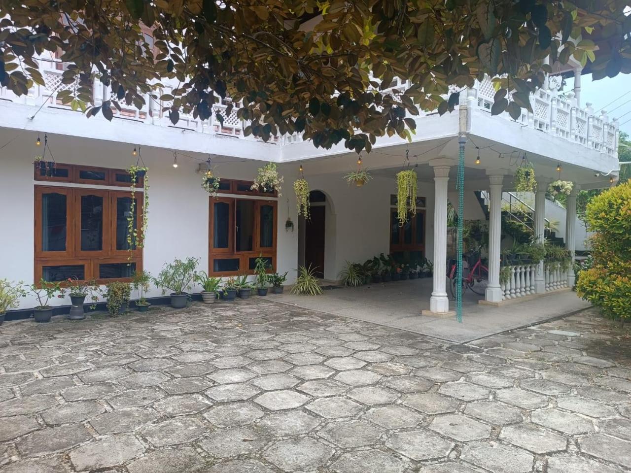 Jungle House