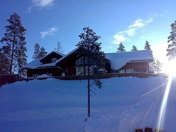 Flott utleiehytte på Gautefall
