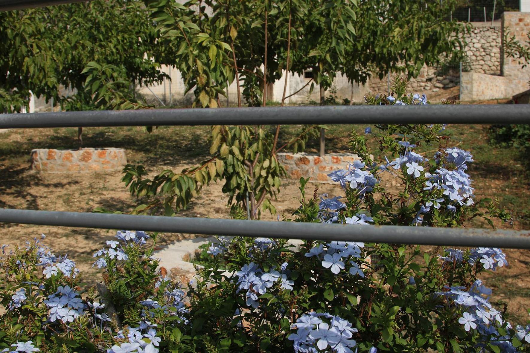Vagelis 2 Nemea apartments
