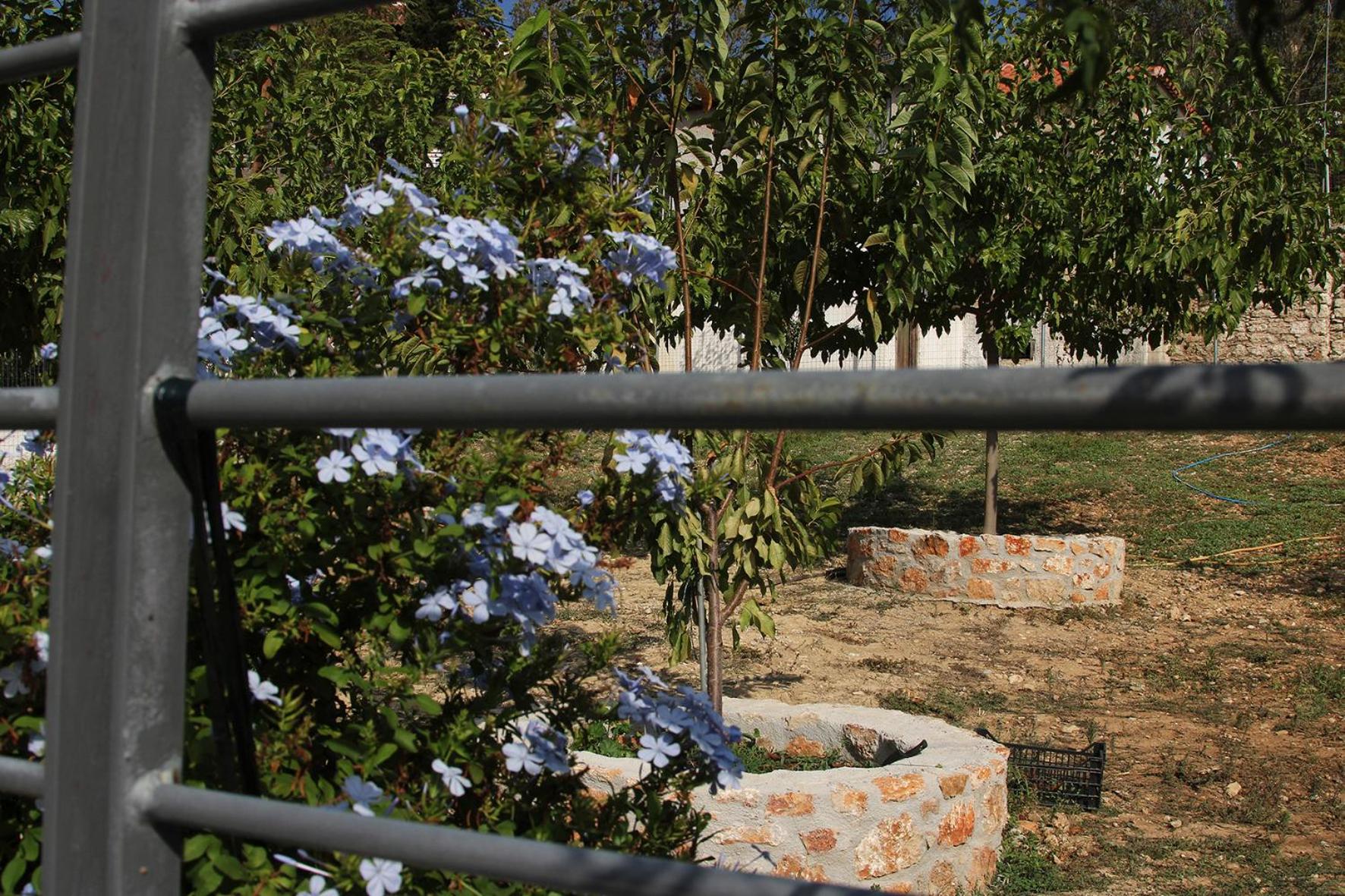 Vagelis 2 Nemea apartments