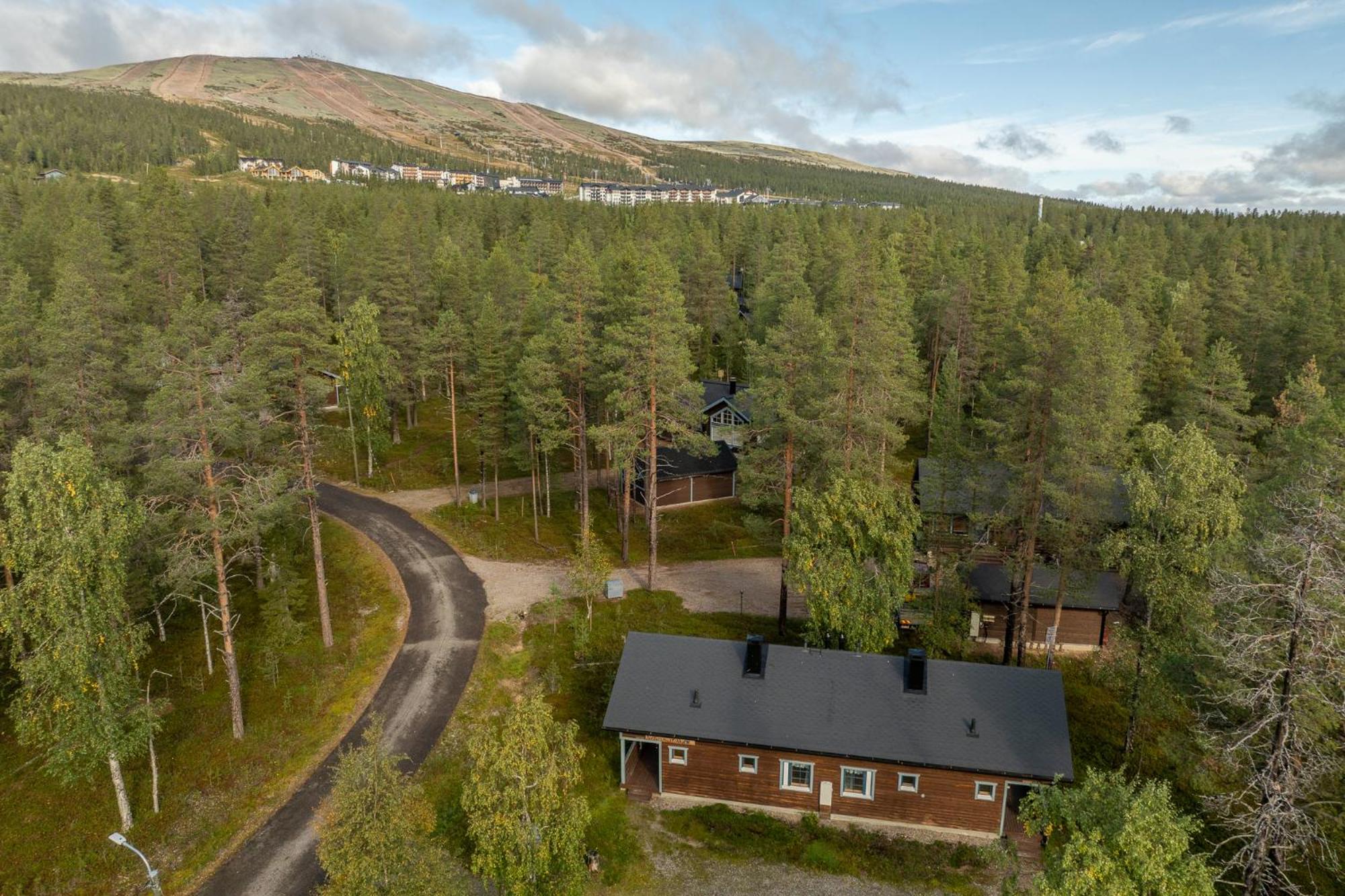Tunturimustikka A by Hi Ylläs