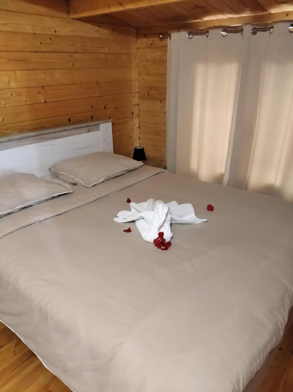 Chalet Goyavier - 4pers-Sud sauvage - By Sister Home