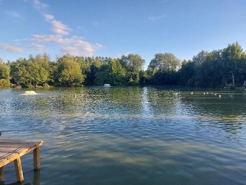 Yellowrush Lodge - Yellowtop Country Park - Hot Tub - Yorkshire view 5