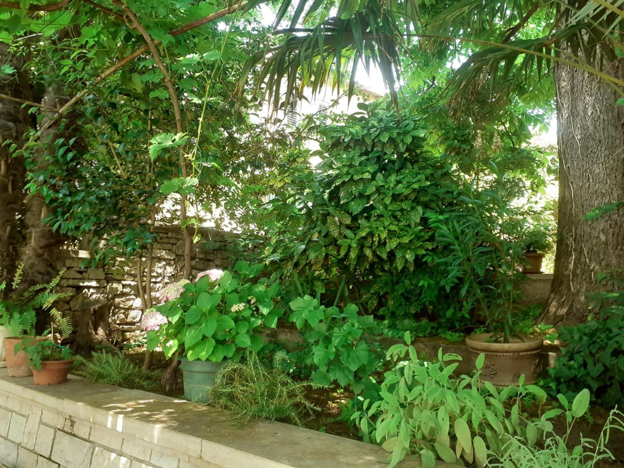 Apartman Maria