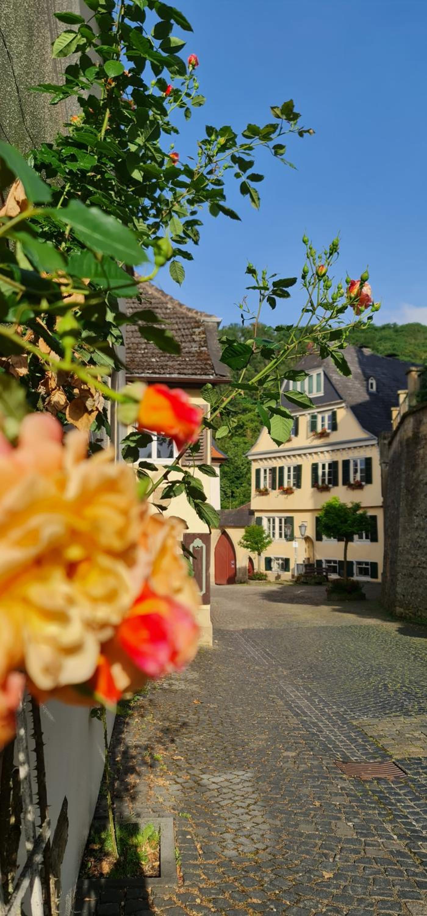Hunsrück- Auszeit