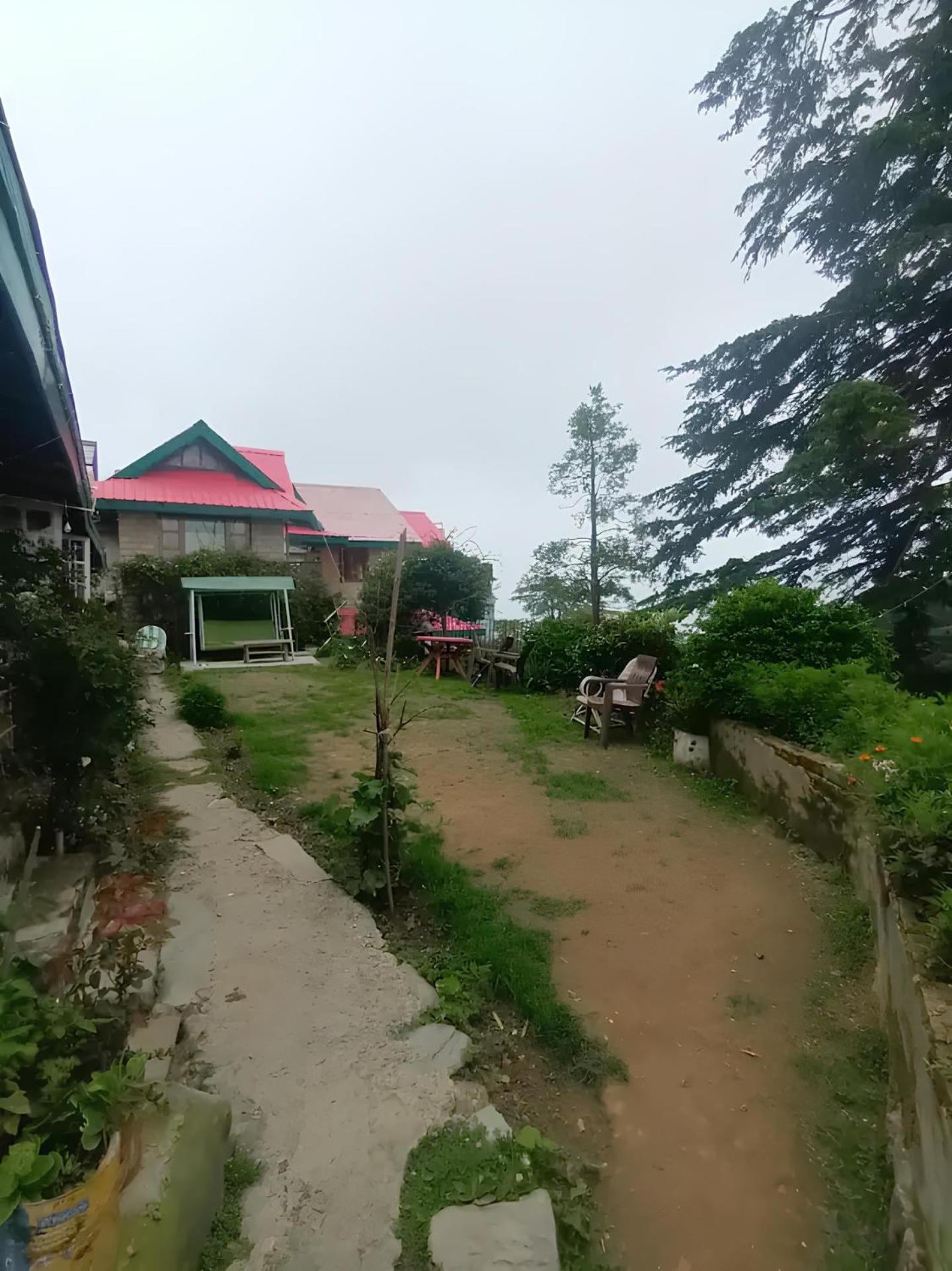 Photo 8
