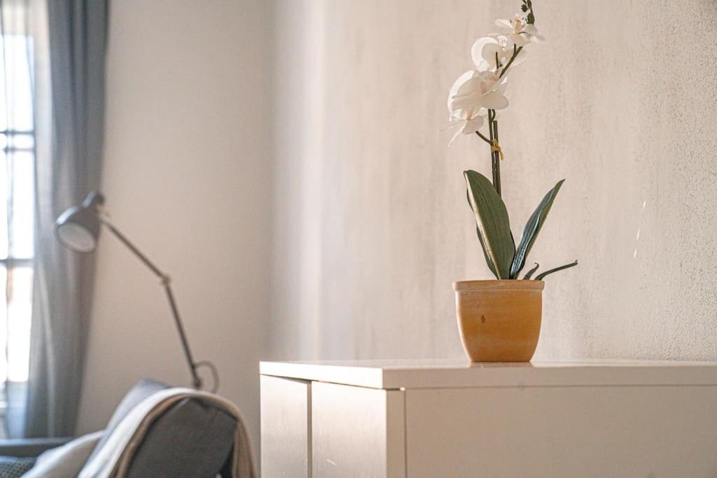 Stunning Central 4BR Penthouse - AC, Netflix & Stift View
