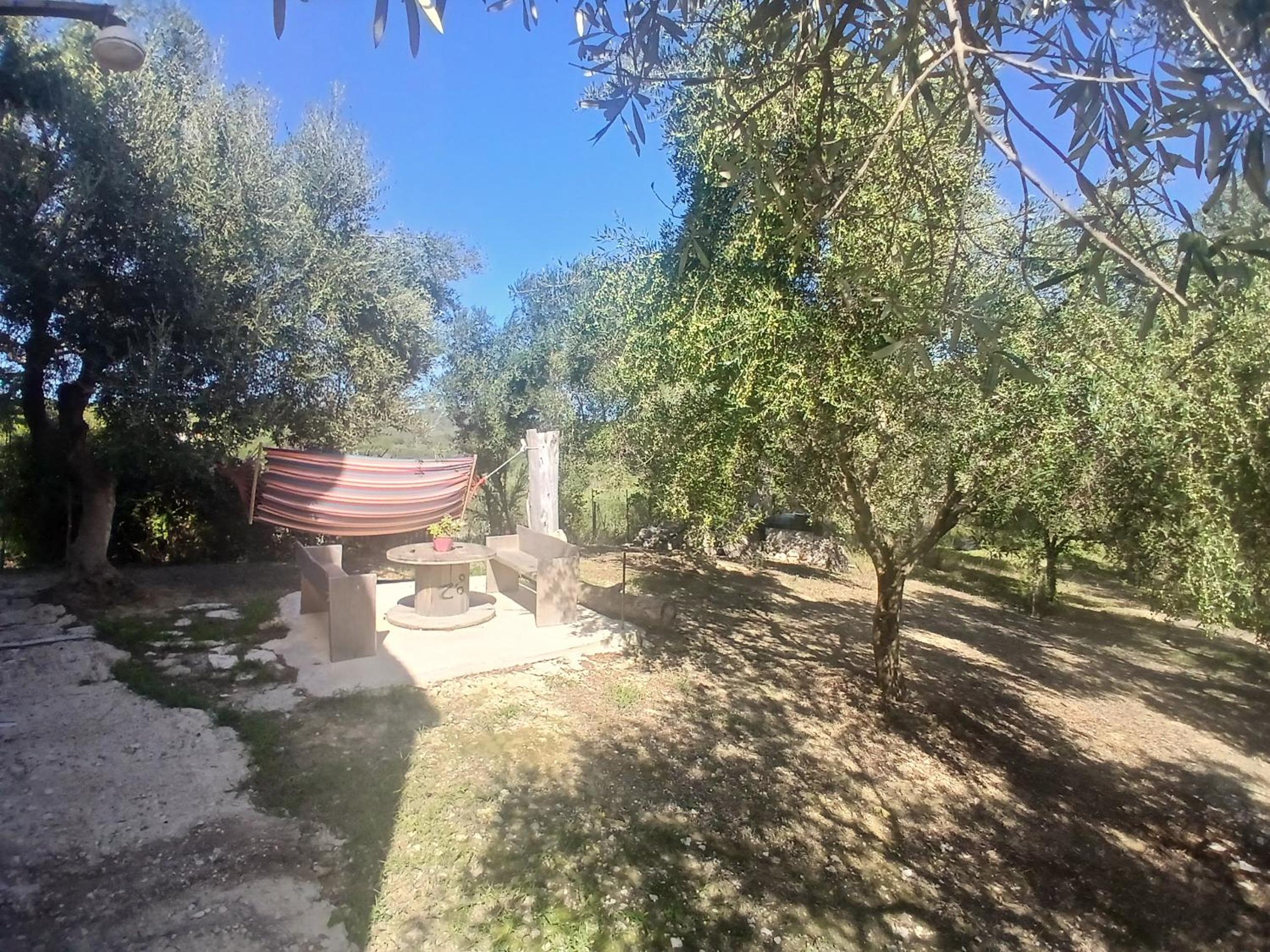 Photo 17