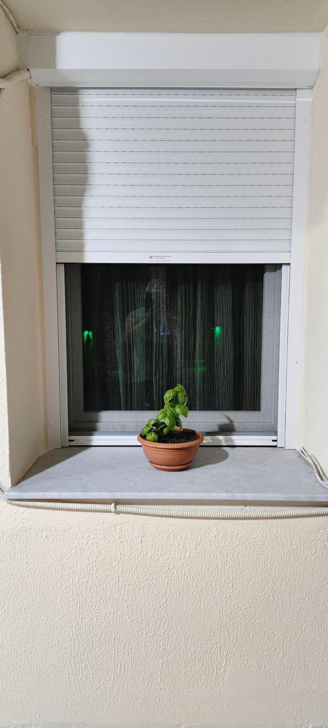 Photo 31