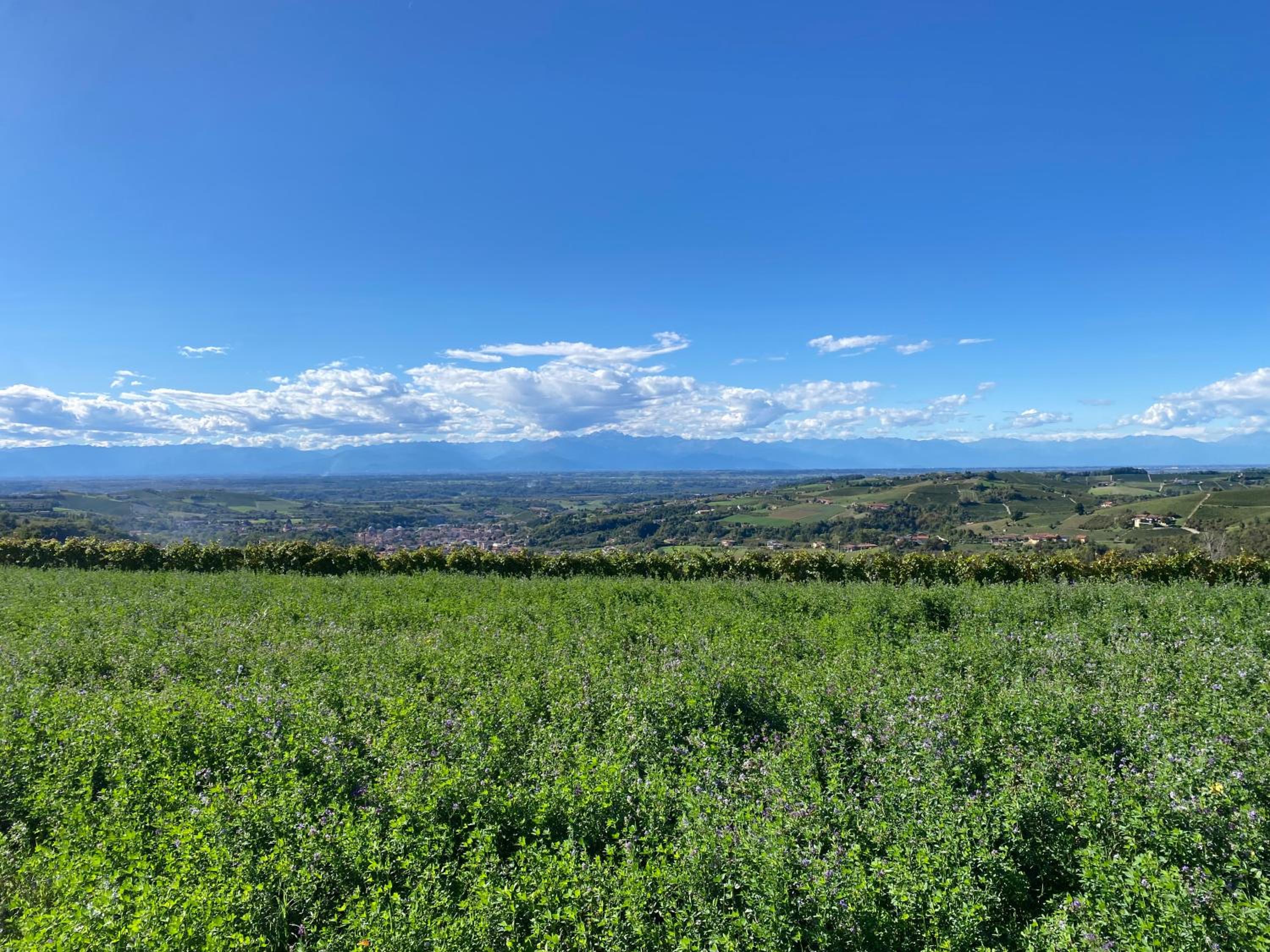 Al Bricco dei Frati
